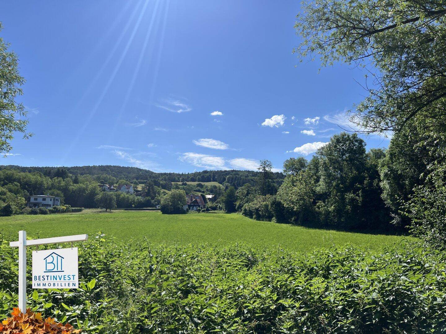 Idyllische Landschaft mit weitem Grünland, bewaldeten Hügeln und einem sonnigen Himmel.