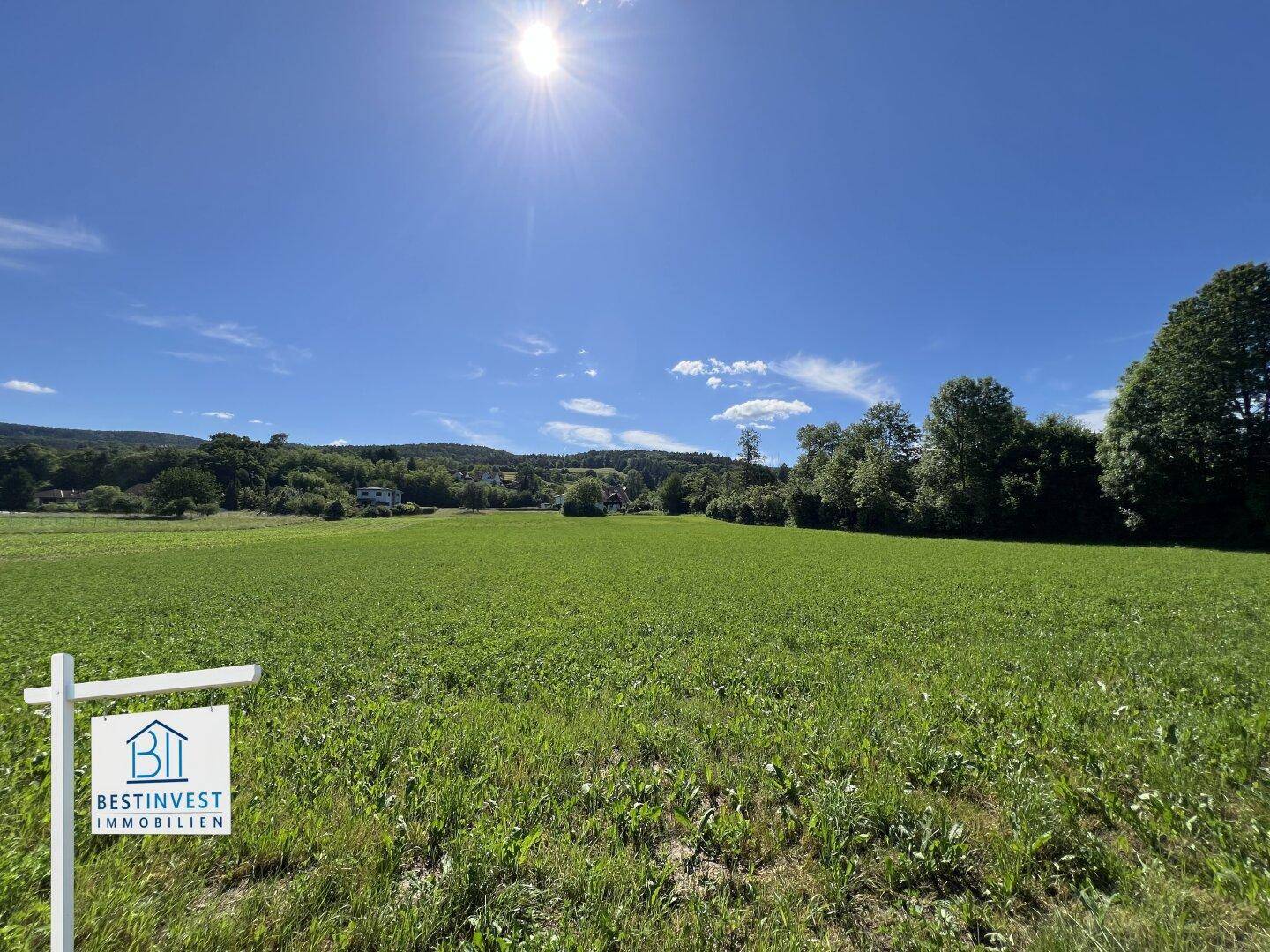 Offenes grünes Feld unter strahlendem Sonnenschein mit Häusern und Hügeln am Horizont.