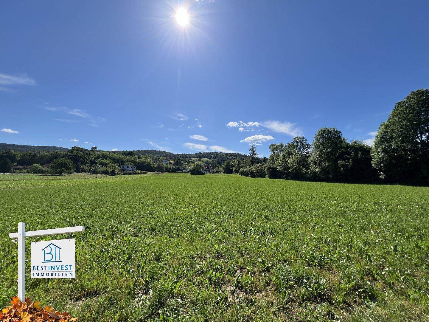 Weitläufige grüne Wiese unter einem klaren blauen Himmel mit bewaldeten Hügeln in der Ferne.