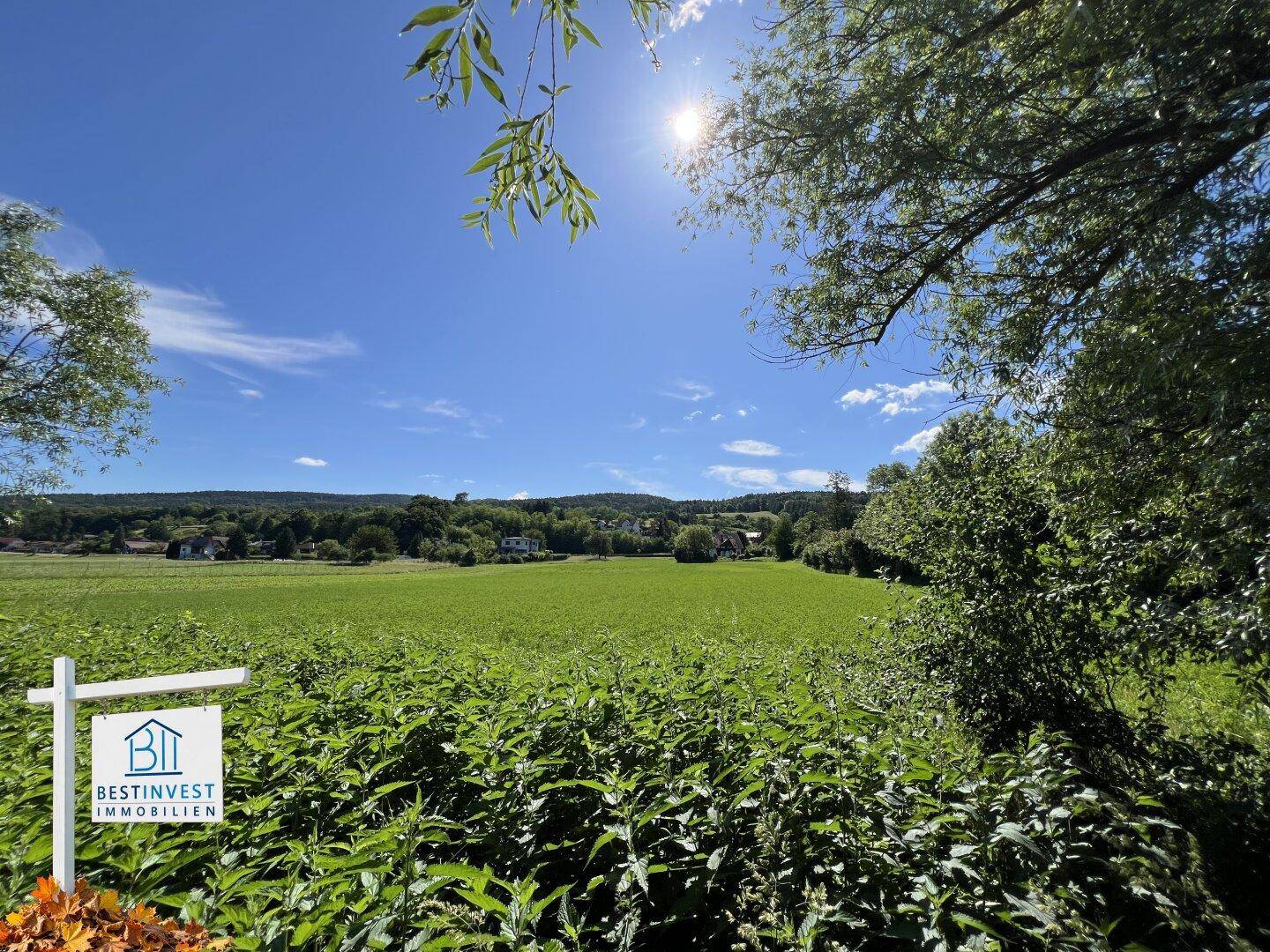 Sonnige Landschaft mit üppigem Grün, weitem Feld und bewaldeten Hügeln am Horizont.