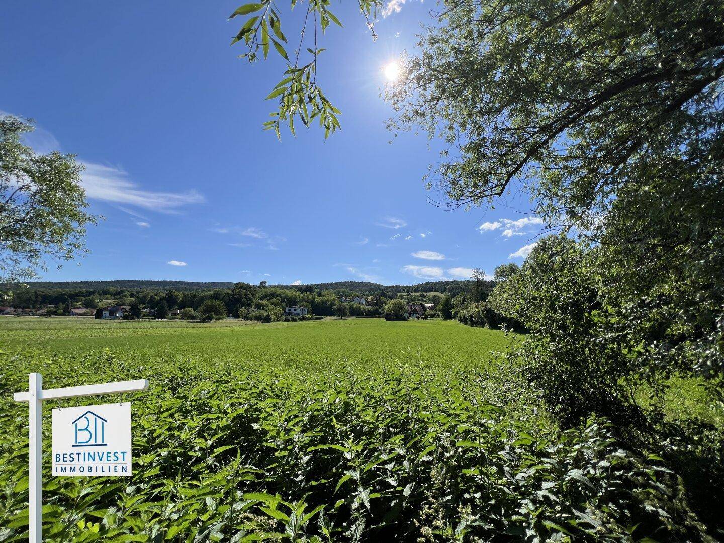 Malerisches grünes Feld mit weitem Blick auf die Landschaft, umrahmt von Bäumen und Büschen.