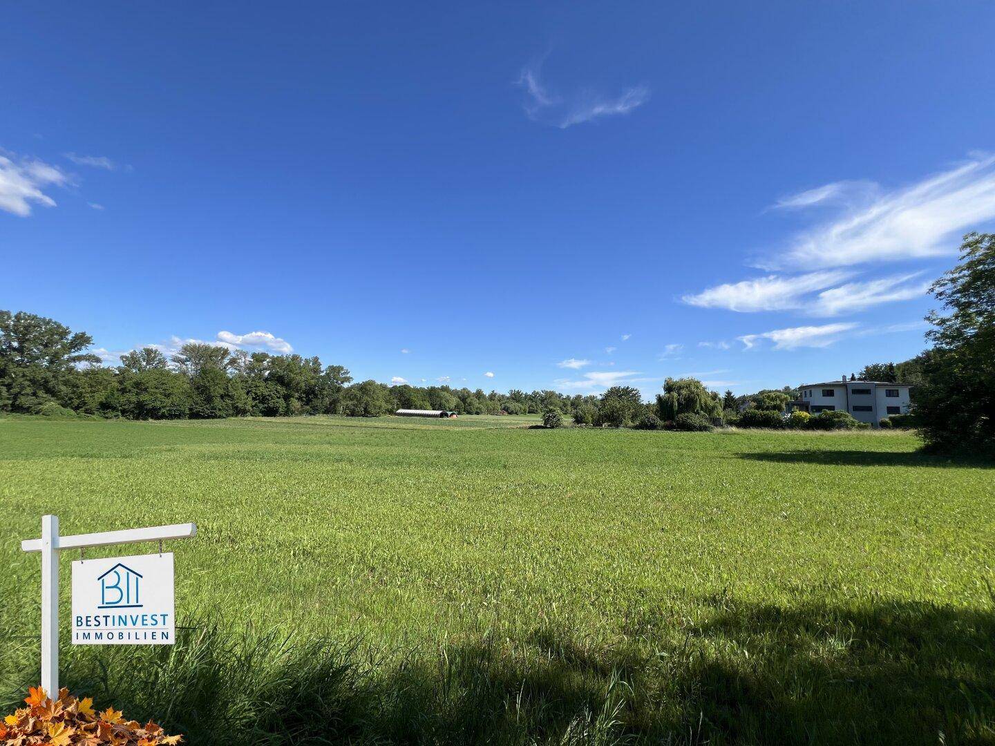 Offenes Grünland mit Bäumen am Horizont und einem Wohnhaus in der Ferne unter blauem Himmel.