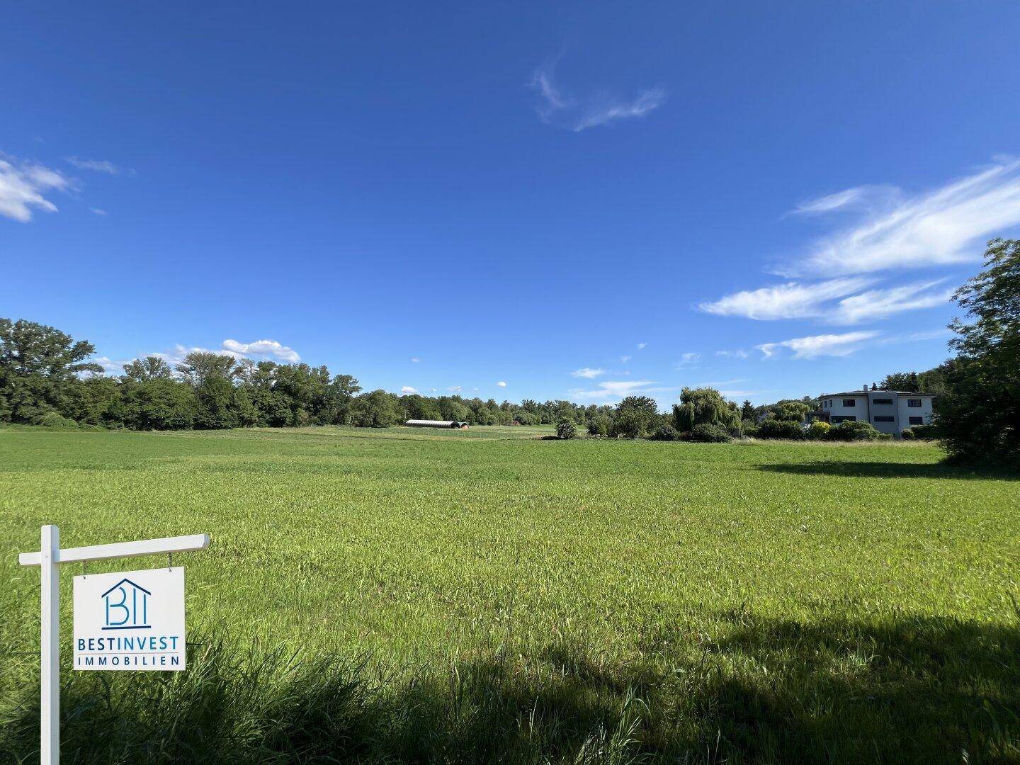 Weitläufiges grünes Feld unter blauem Himmel mit Bäumen und einem Gebäude im Hintergrund.