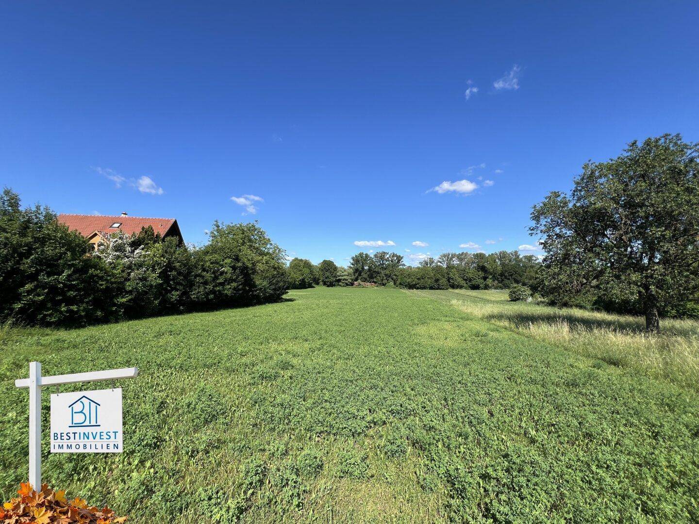 Offenes grünes Feld mit vereinzelten Bäumen und einem Haus am Horizont unter blauem Himmel.