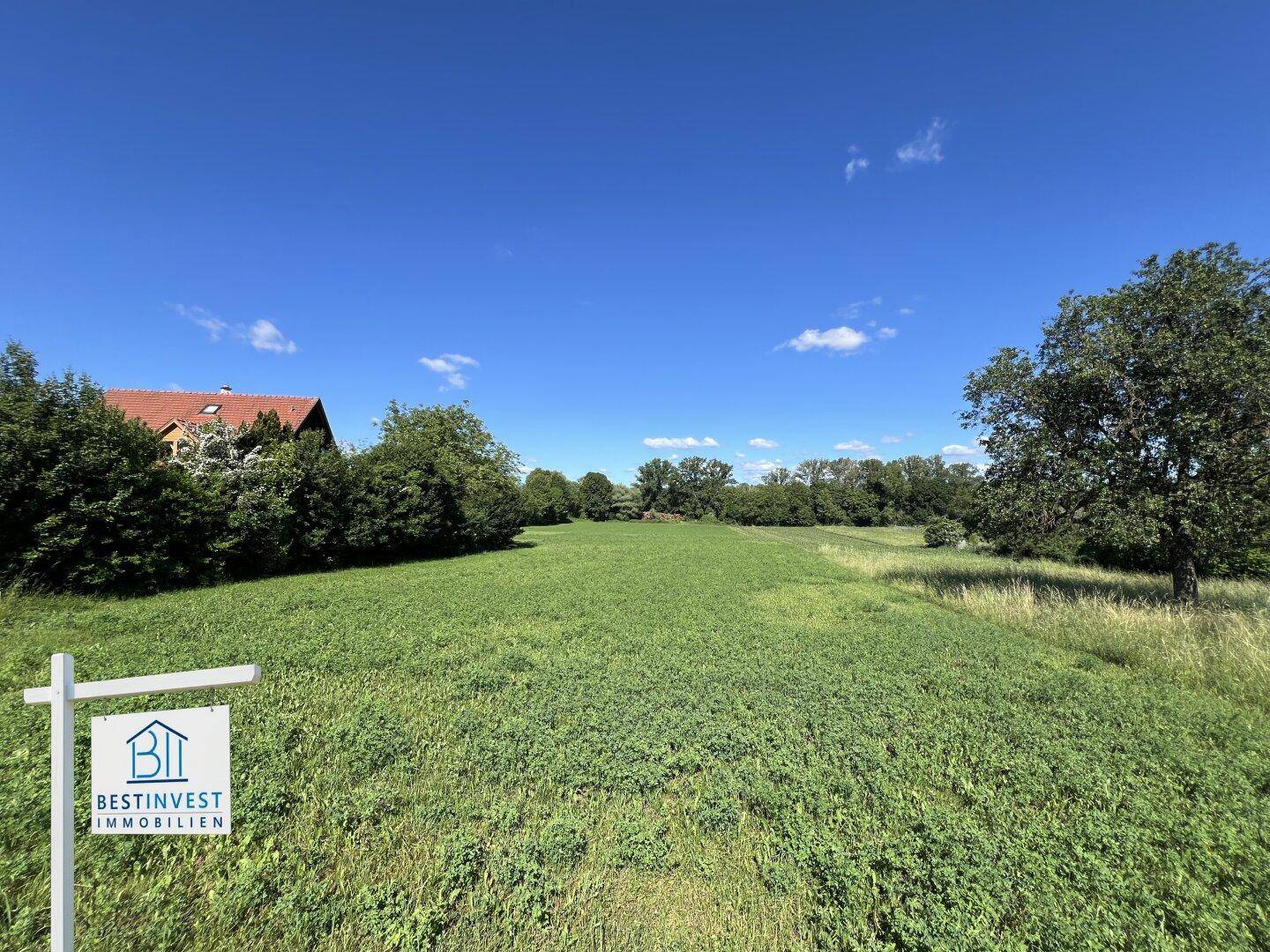 Weites grünes Feld mit einem Haus im Hintergrund, umgeben von Bäumen unter blauem Himmel.