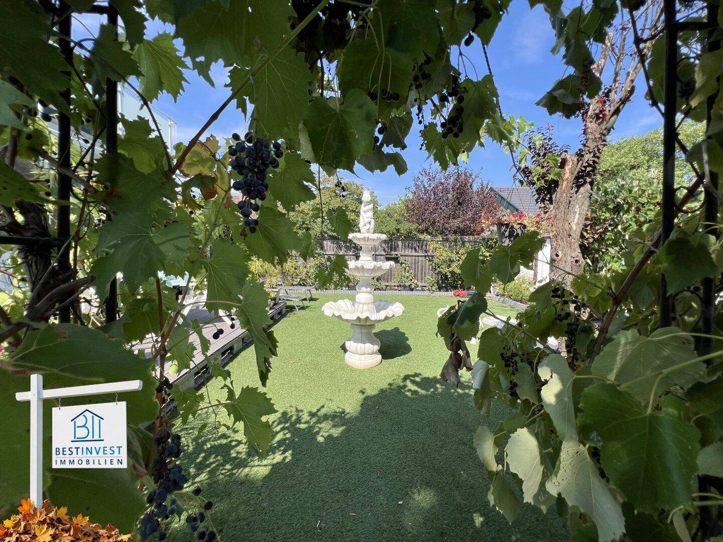 Blick durch üppige Weinreben auf den grünen Garten mit einem eleganten Springbrunnen in der Mitte.