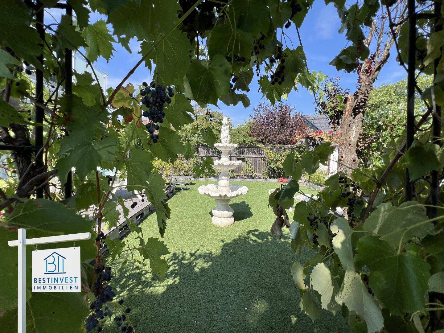Blick durch Weinreben auf eine grüne Rasenfläche mit einem zentralen dekorativen Brunnen.
