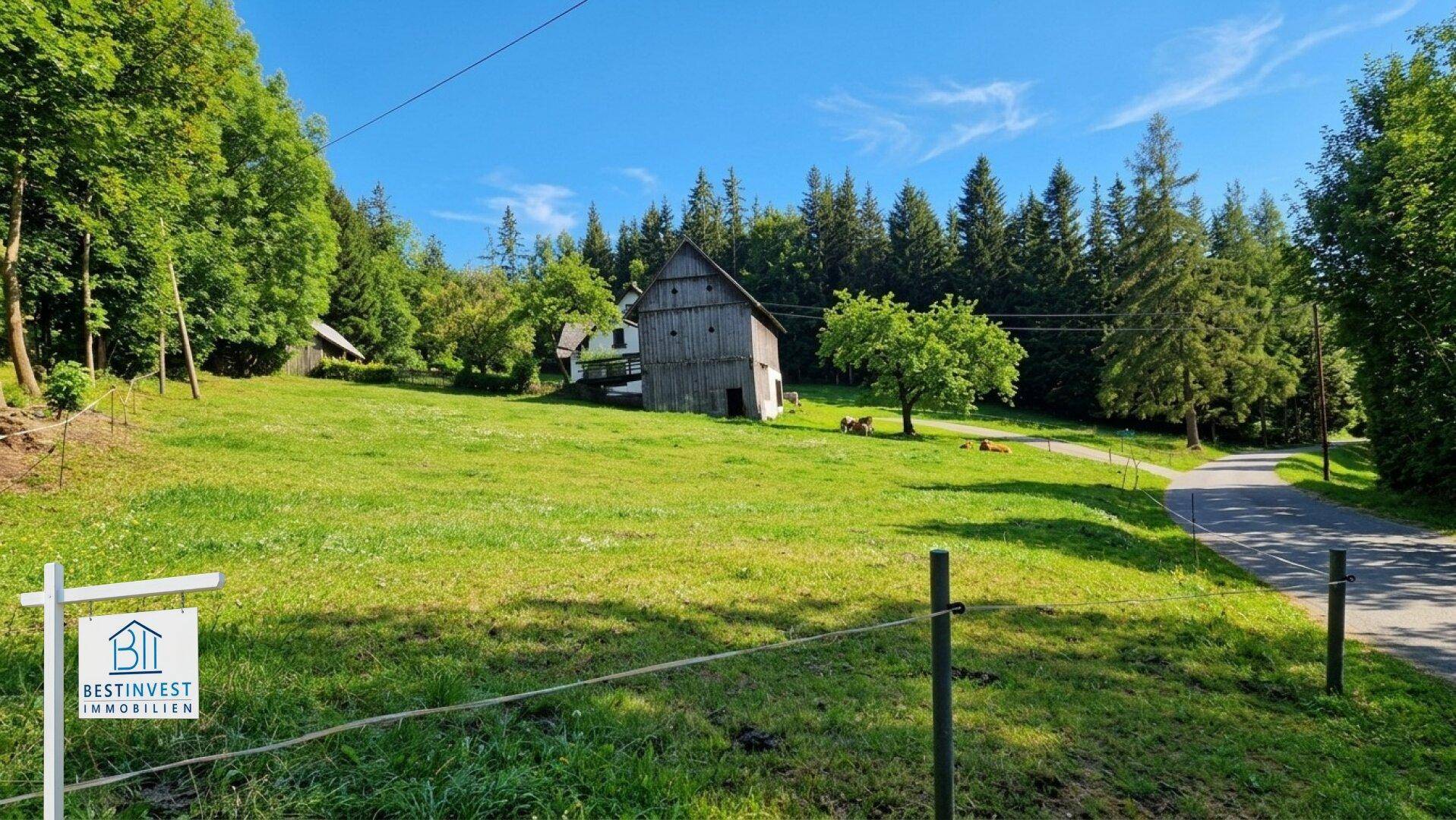 Weitläufiges Grundstück mit Landhaus und Scheune, umgeben von Natur und einer Zufahrtsstraße.