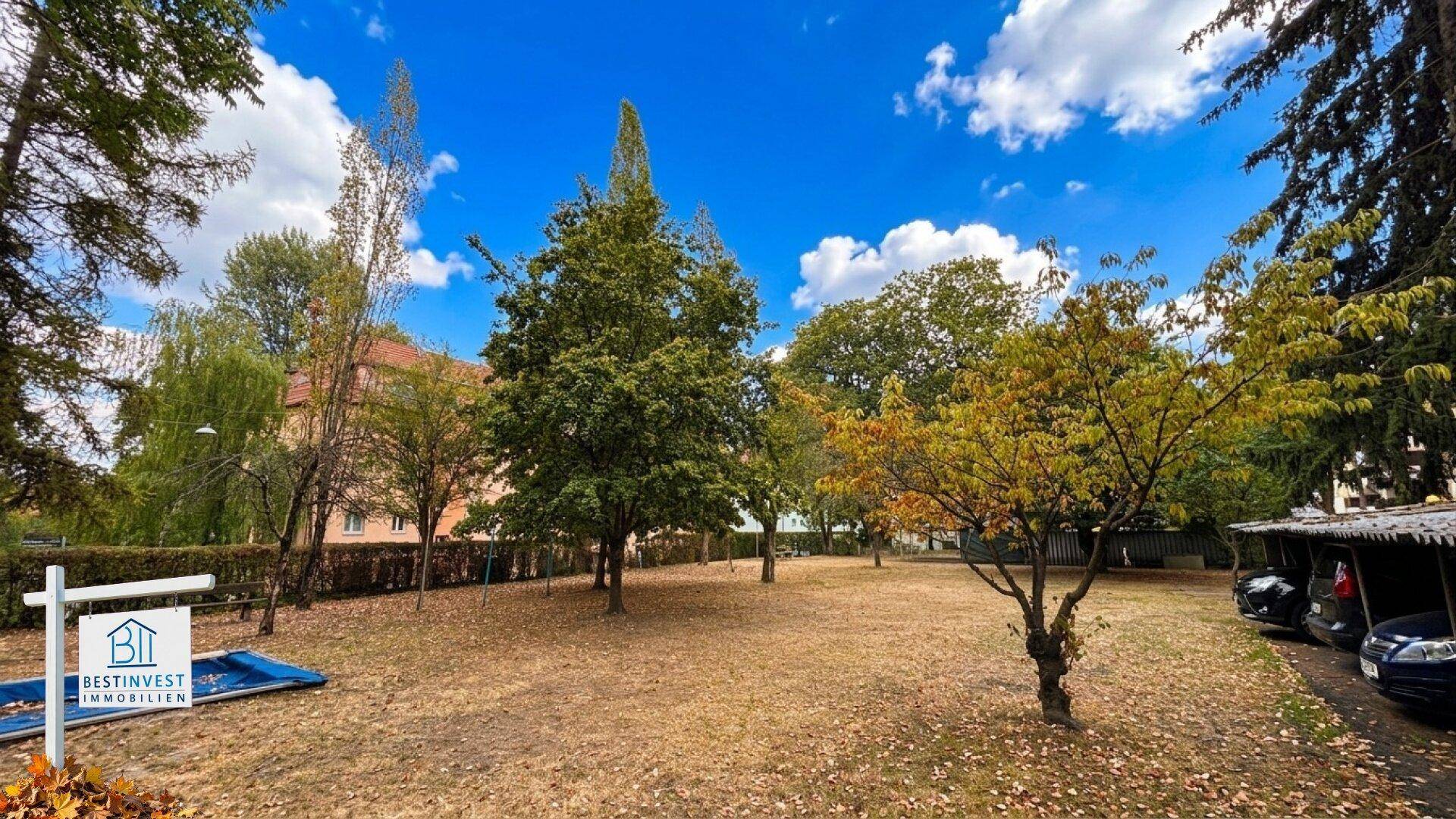 Weitläufige Grünfläche mit Bäumen und Parkplätzen im Hintergrund unter blauem Himmel.