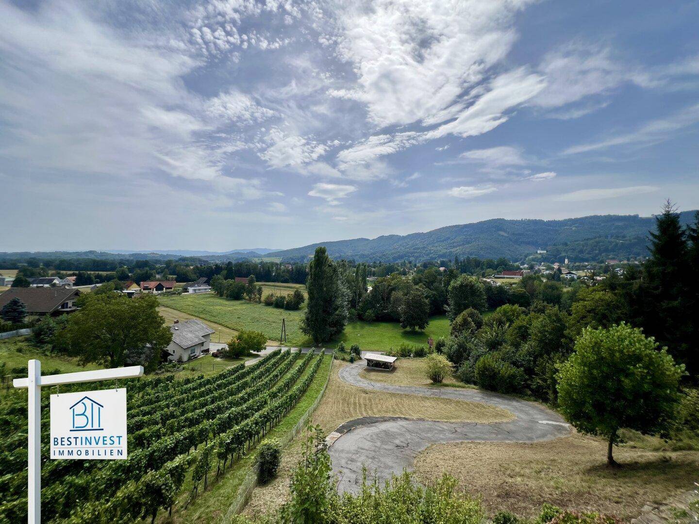 Weitläufiger Blick über Weinberge und die umliegende grüne Landschaft mit Häusern.