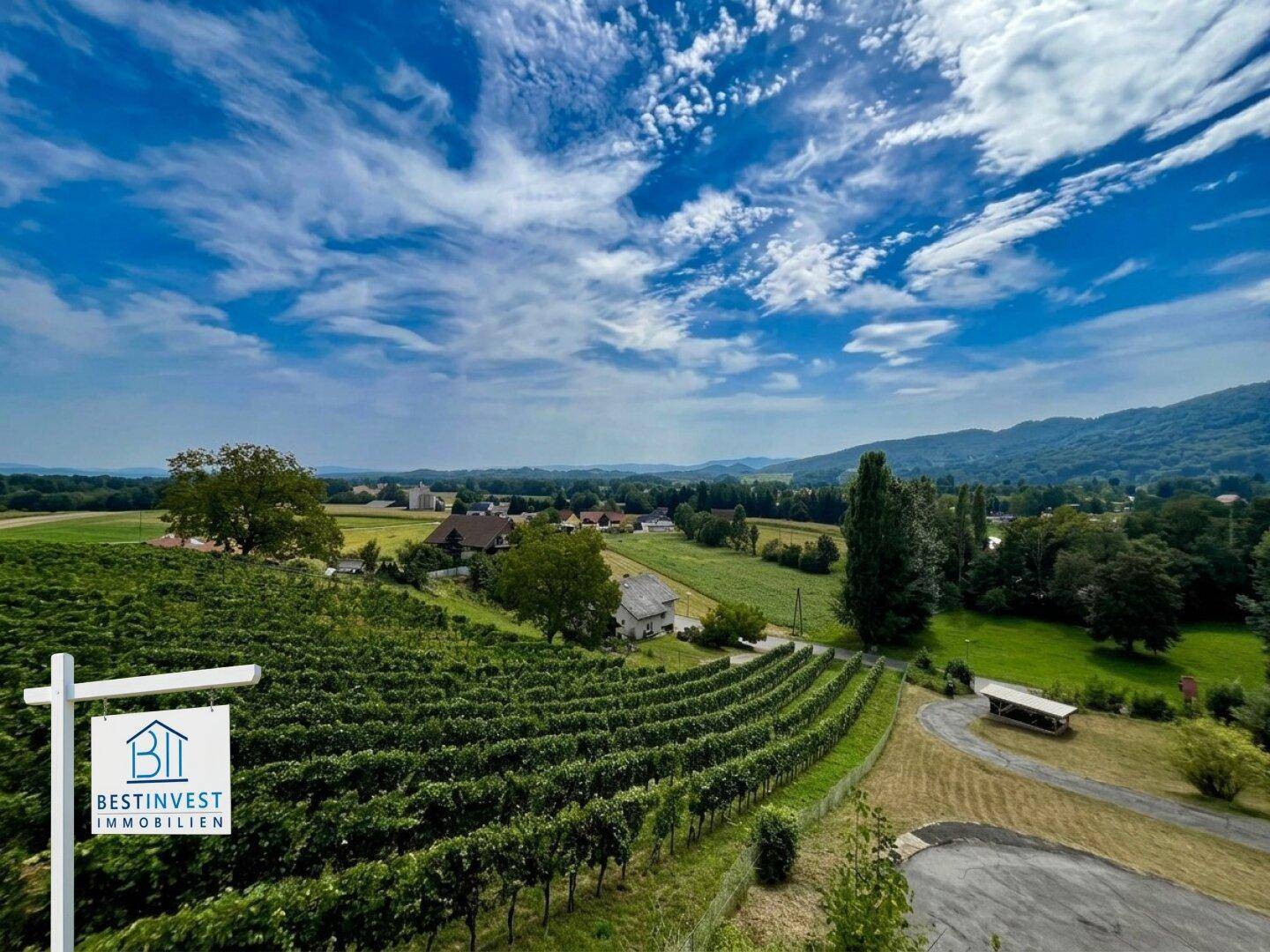 Malerischer Ausblick auf weitläufige Weinberge und die ländliche Umgebung mit vereinzelten Häusern.