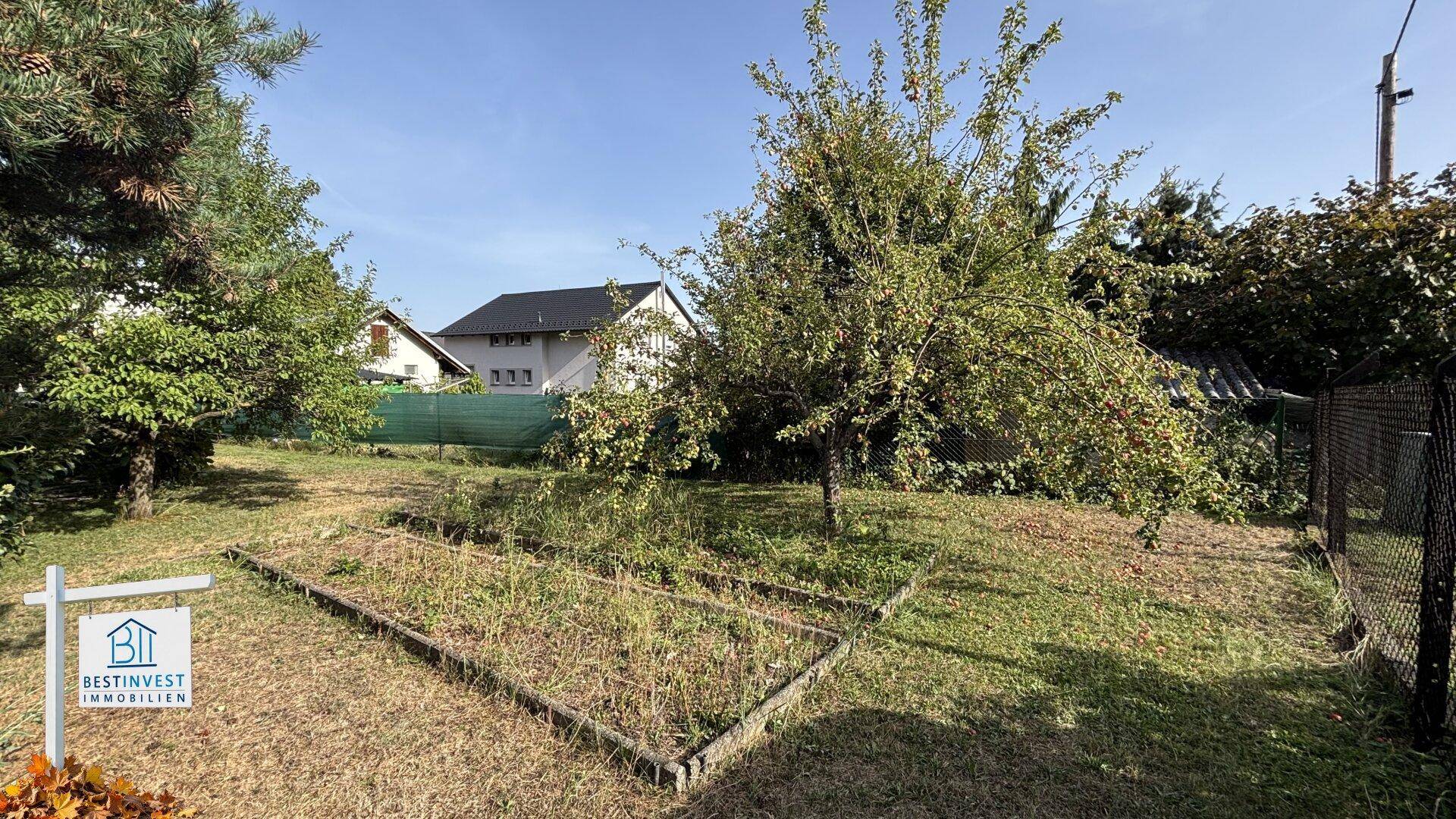 Naturbelassener Gartenbereich mit Obstbäumen und vorbereiteten Beeten für den Anbau.