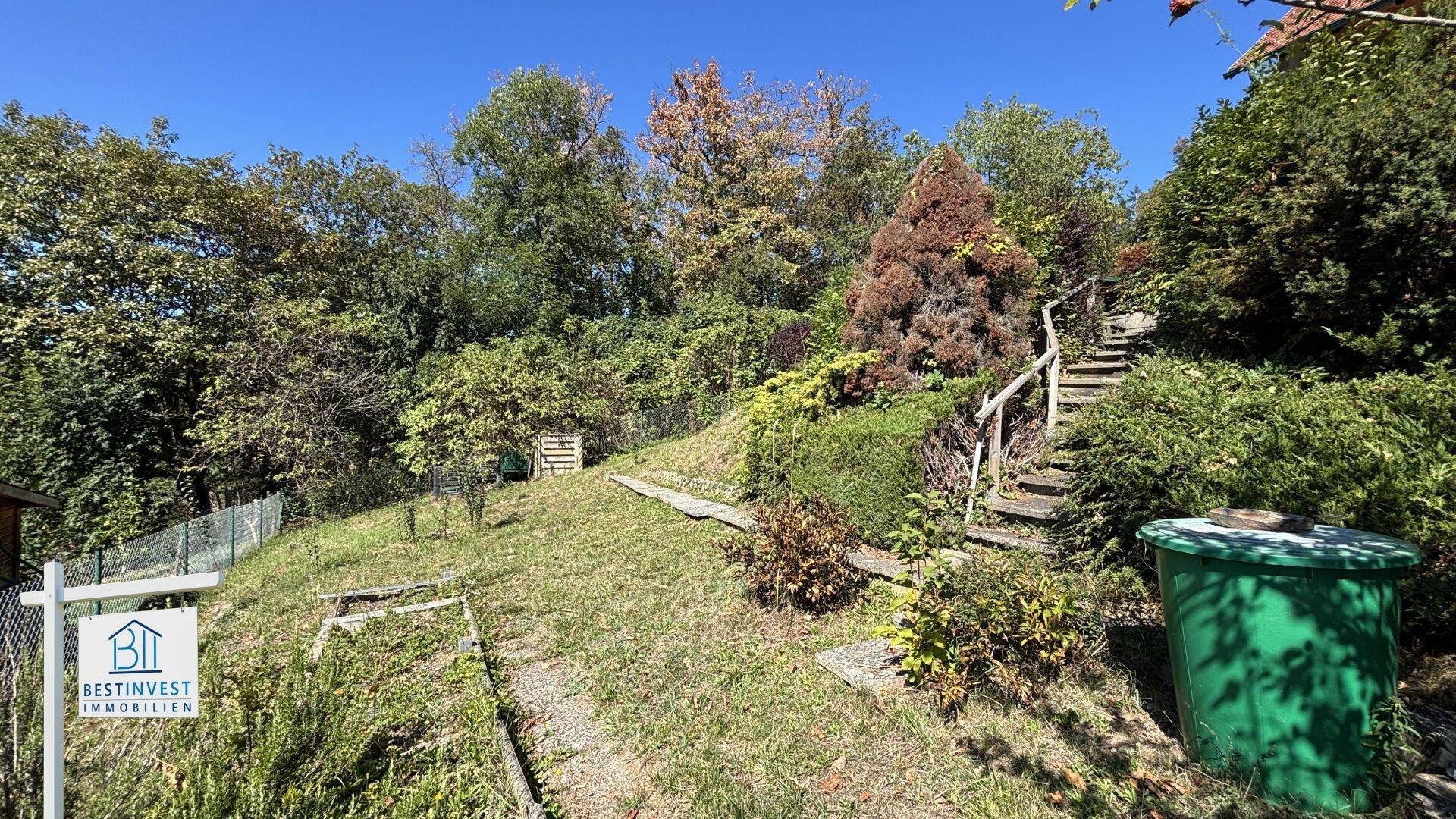 Slide 5