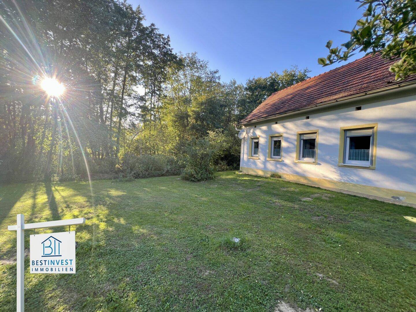 Sonnendurchfluteter Garten mit großem Rasen und altem Baumbestand neben dem ländlichen Wohnhaus.