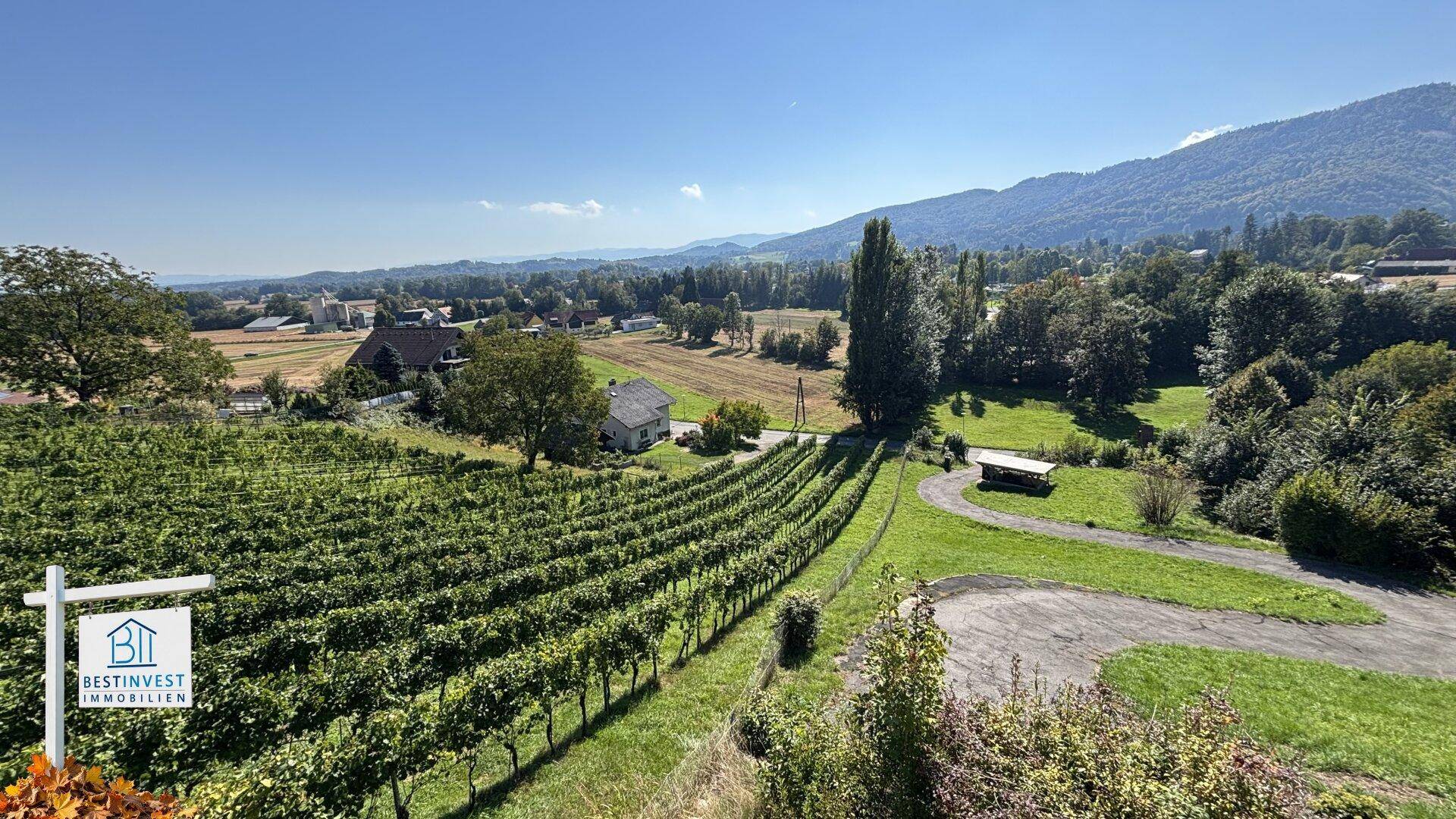 Weitläufige Landschaftsaufnahme mit Weinbergen, ländlichen Häusern und Bergen im Hintergrund unter blauem Himmel.