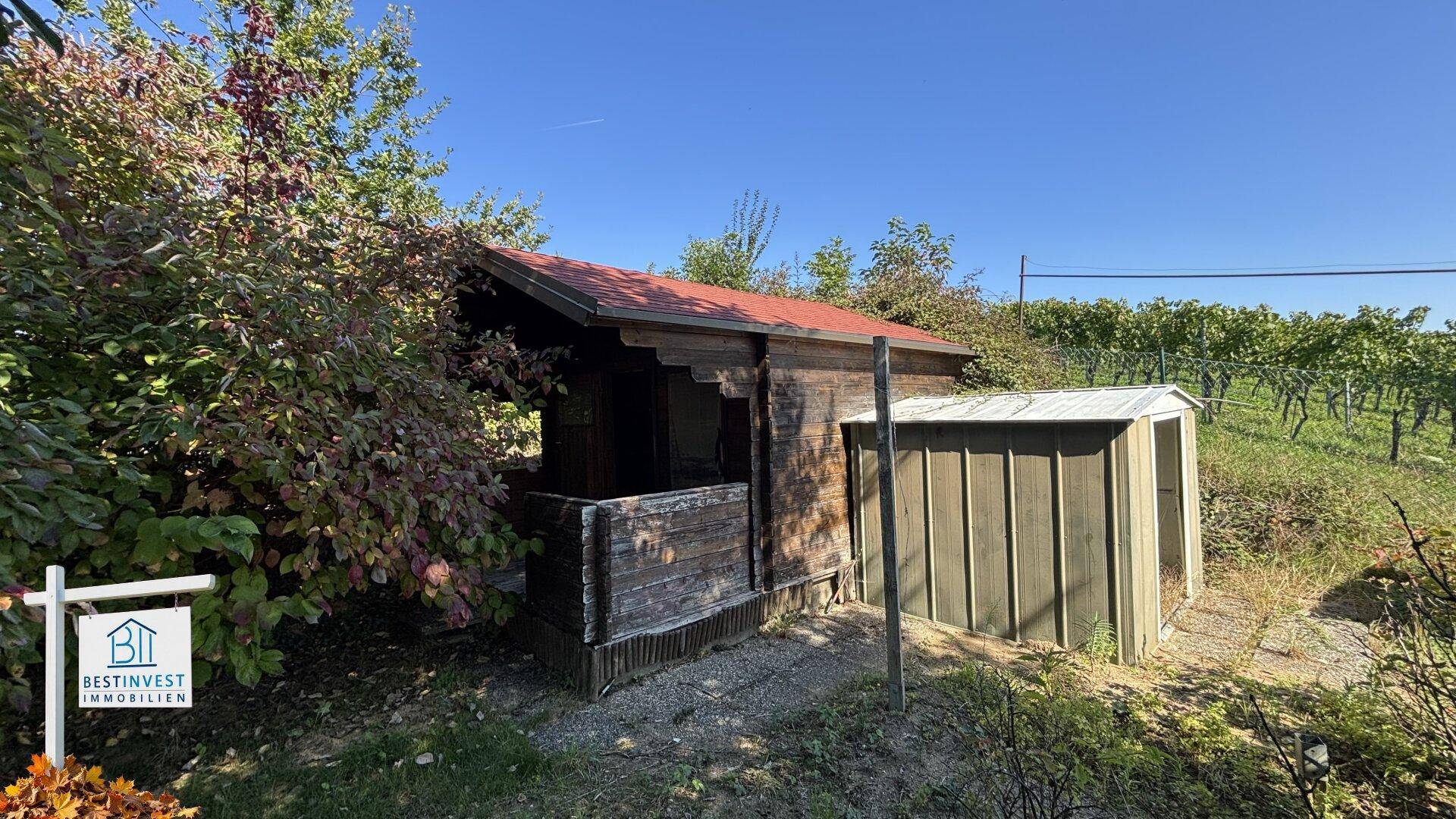 Rustikales Holzhaus oder Gartenhütte umgeben von Bäumen und Weinbergen unter strahlend blauem Himmel.