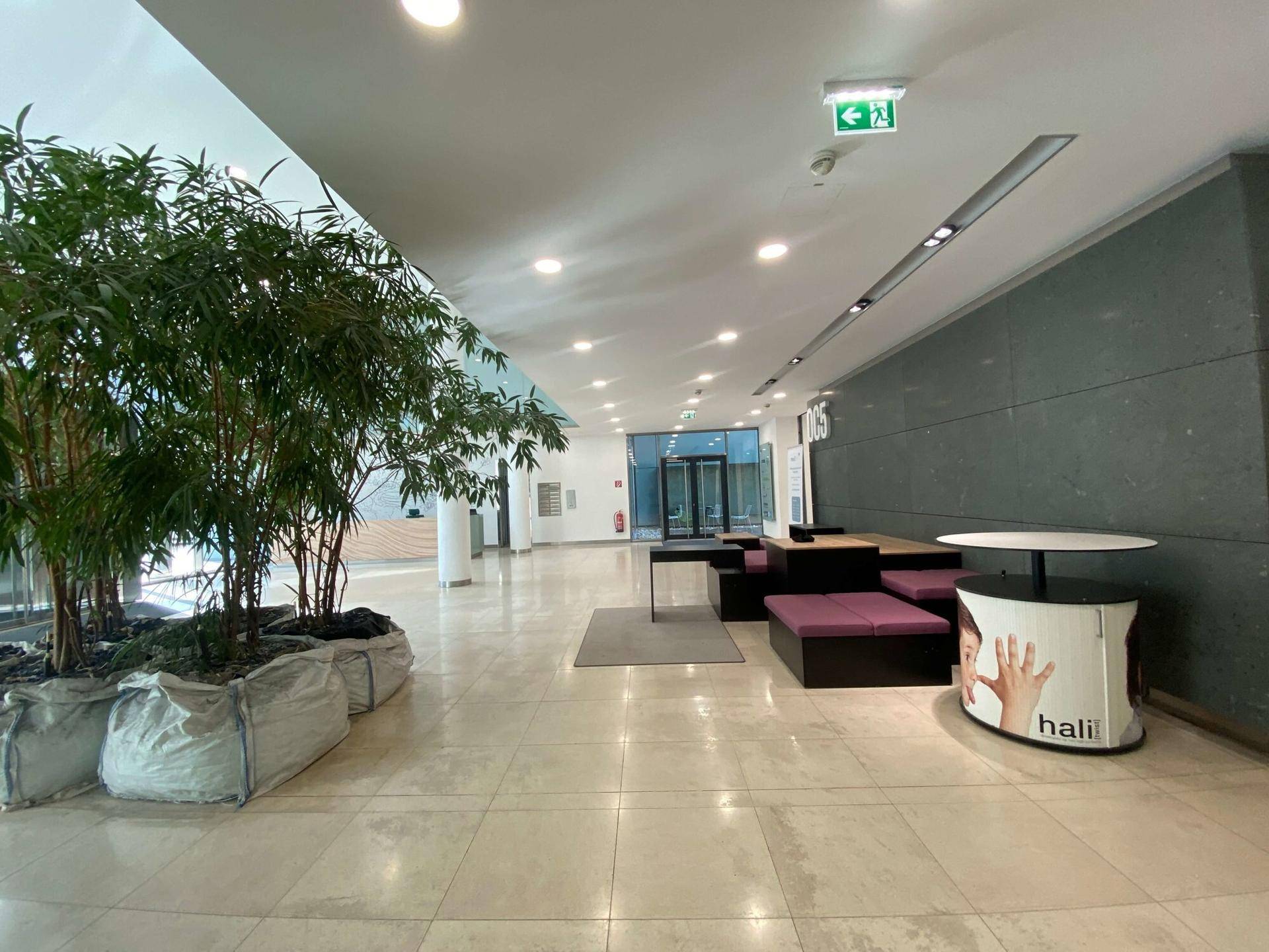Geräumiger Loungebereich mit Pflanzen, modernen Sitzmöbeln und Fliesenboden.