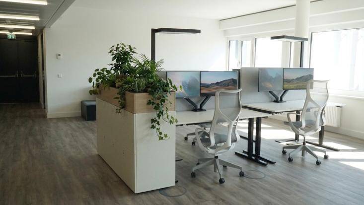 Helles Großraumbüro mit ergonomischen Stühlen, mehreren Monitoren und Pflanzen als Raumteiler.