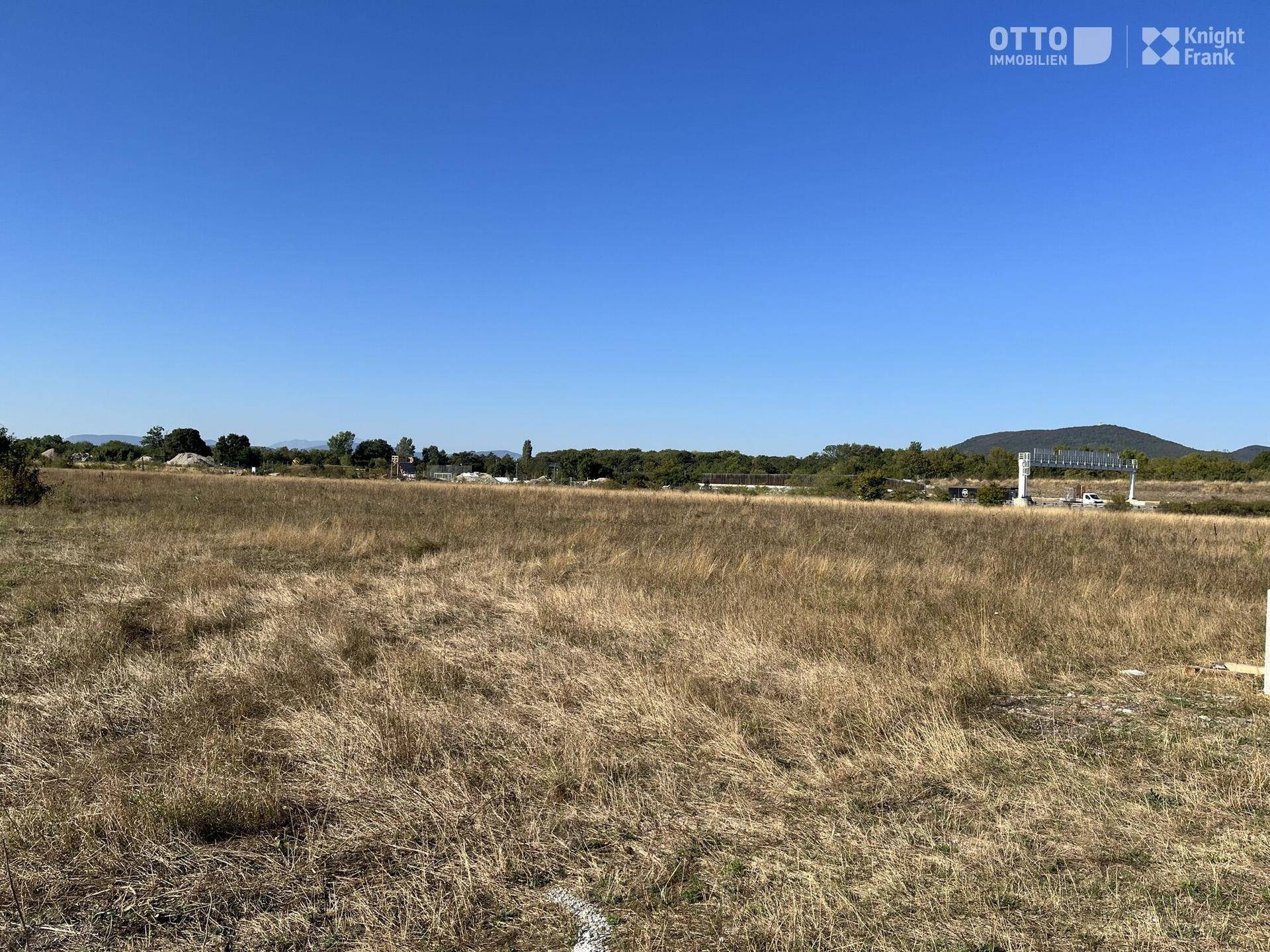 Ein weitläufiges Feld mit trockenem Gras und Blick auf entfernte Hügel und Vegetation unter strahlend blauem Himmel.