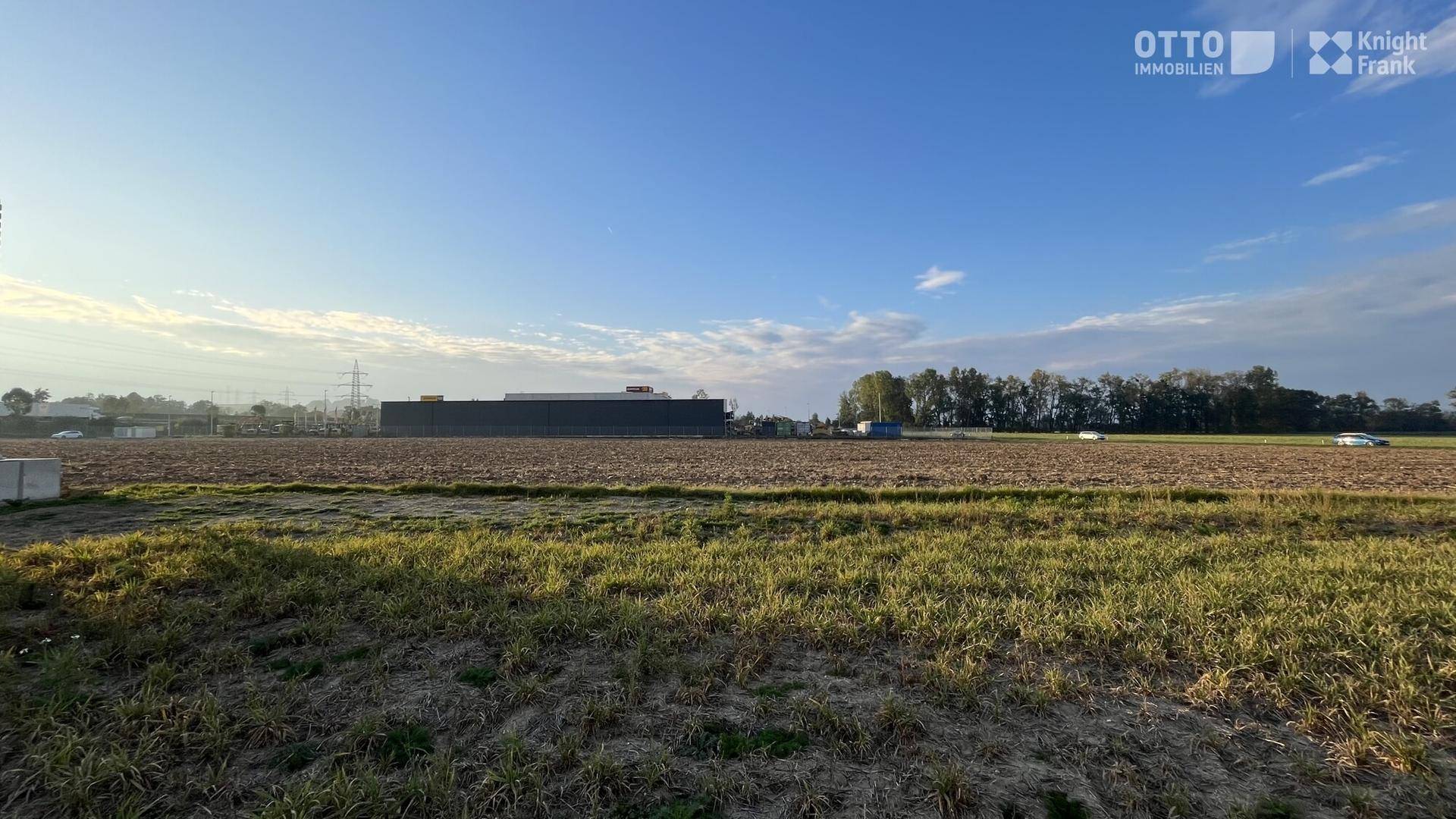Weitläufiges Feld mit einer Baumreihe und Gewerbegebäuden in der Ferne unter einem weiten blauen Himmel.
