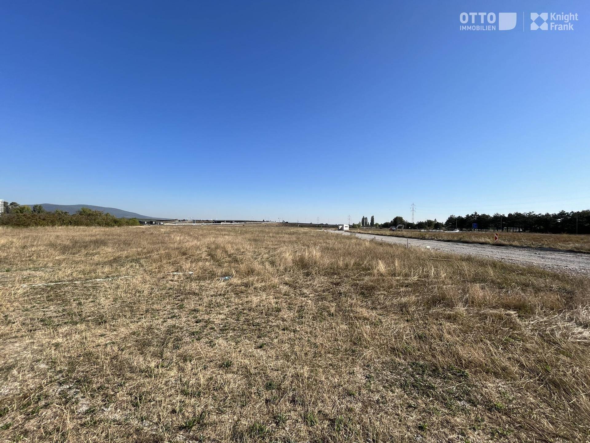 Eine weite, ungenutzte Fläche mit trockenem Gras unter einem klaren blauen Himmel, ideal für zukünftige Entwicklung.