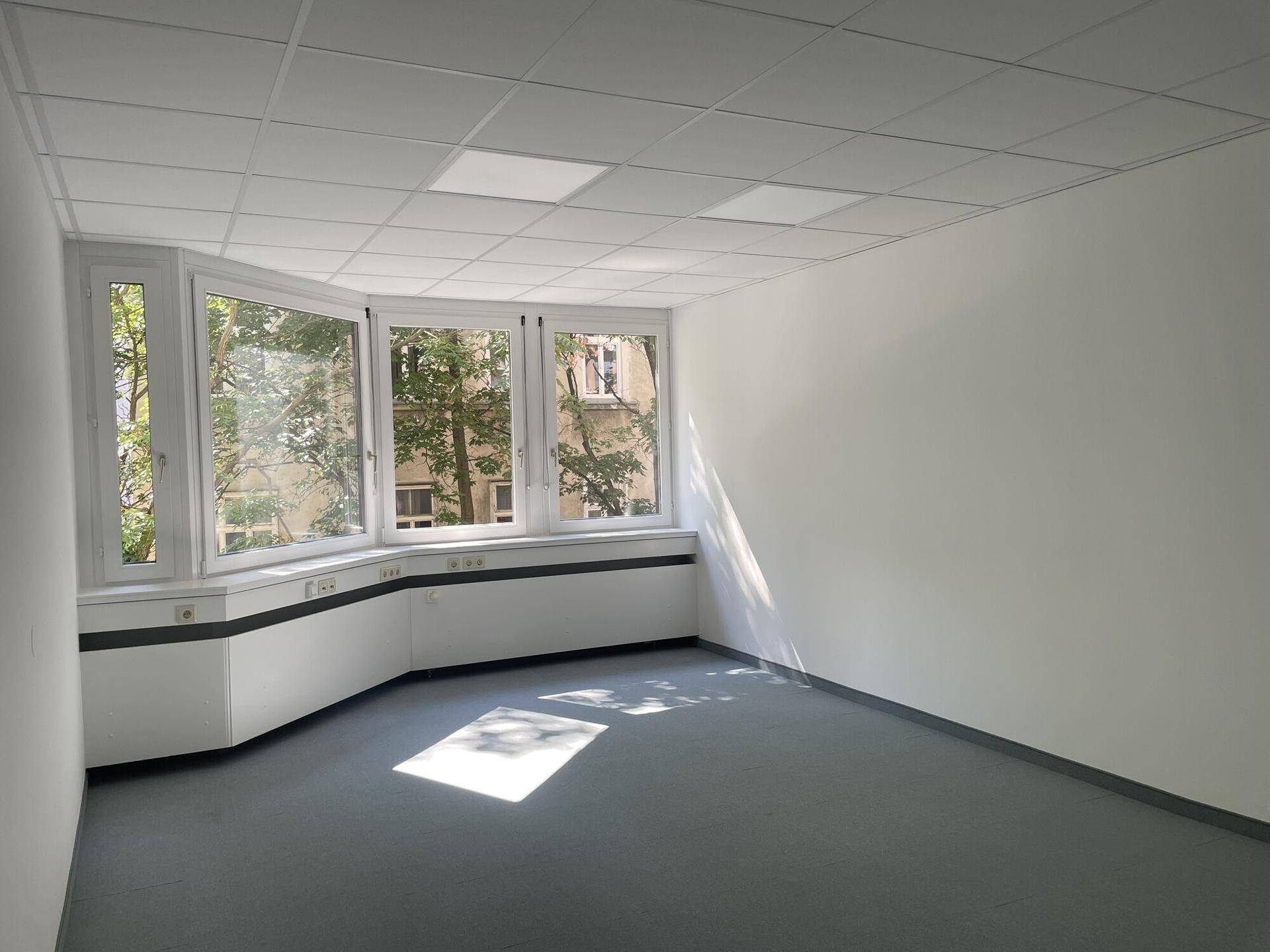 Heller Büroraum mit Teppichboden und großen Fenstern, die einen grünen Ausblick bieten.