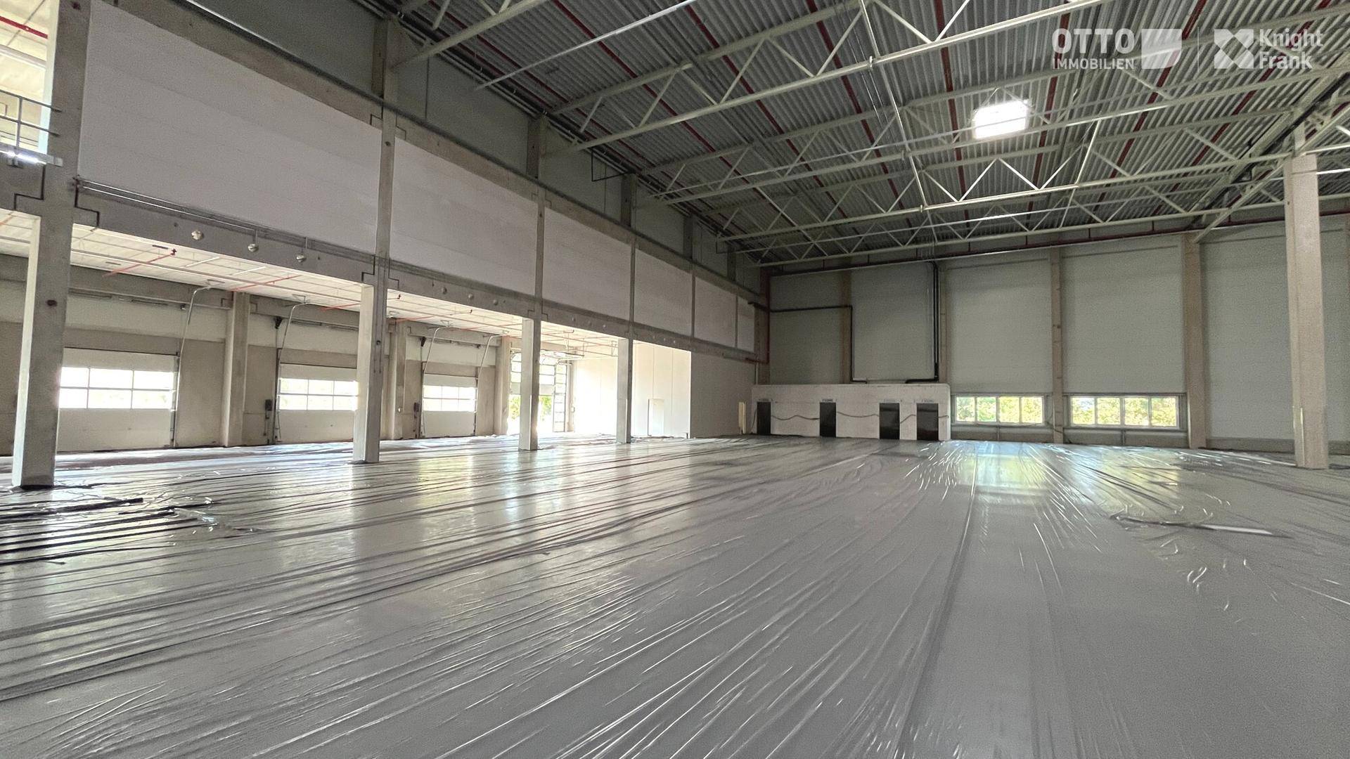 Weitläufige Lagerfläche mit hohen Wänden, Betonstützen und großen Fensterbereichen für natürliche Belichtung.