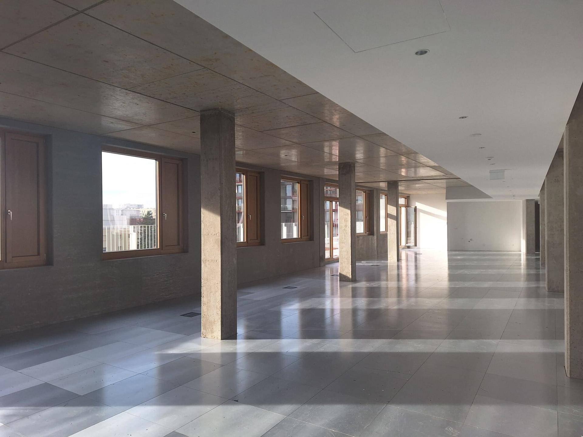 Weitläufiger Bürobereich mit Betonstützen, Holzfenstern und viel Sonnenlicht auf dem glänzenden Boden.