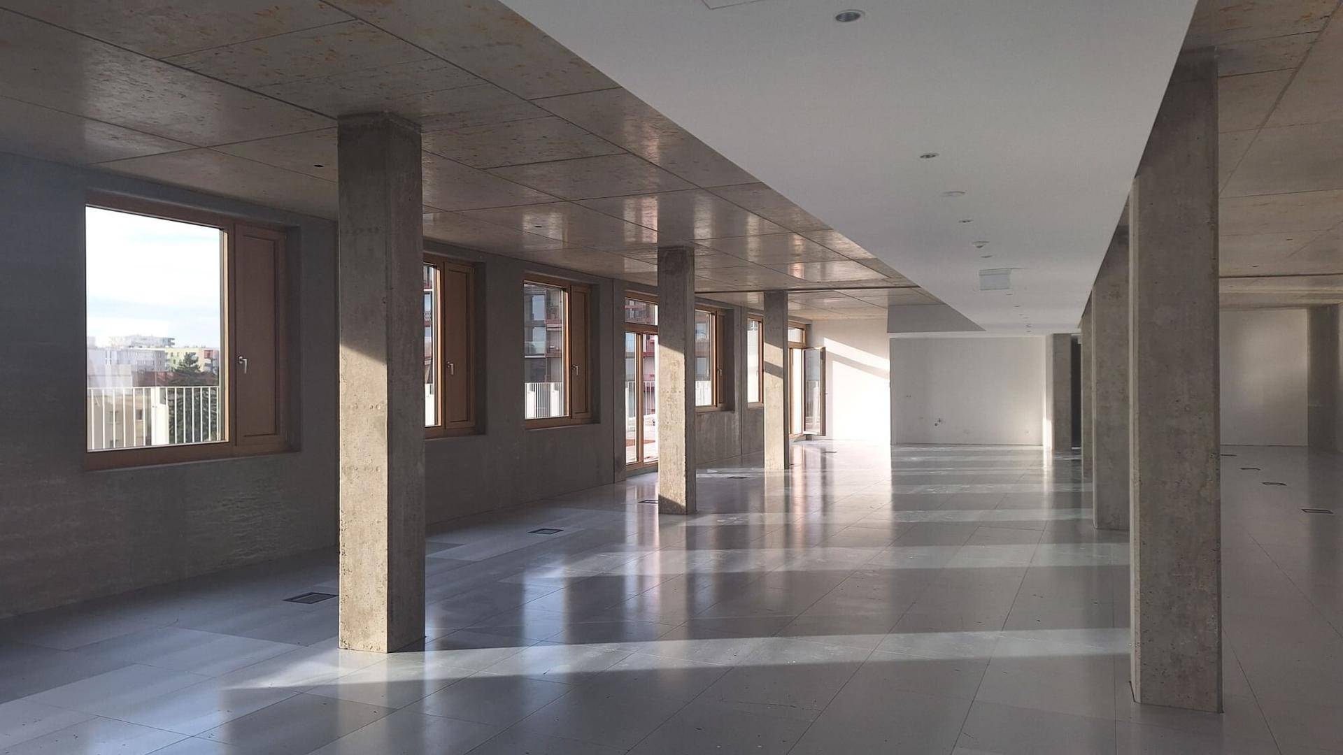 Geräumiger, leerer Büroraum mit Betonstützen, großen Fenstern und glänzendem Boden, durchflutet von Sonnenlicht.
