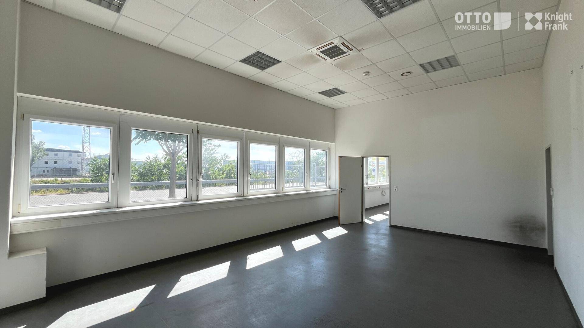 Leerer Büroraum mit dunklem Boden, weißen Wänden und einer Fensterfront, die viel Tageslicht hereinlässt.