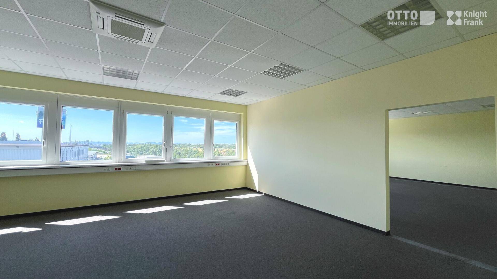 Büroraum mit dunklem Teppichboden, hellgelben Wänden und einer Fensterfront, die viel Tageslicht bietet.