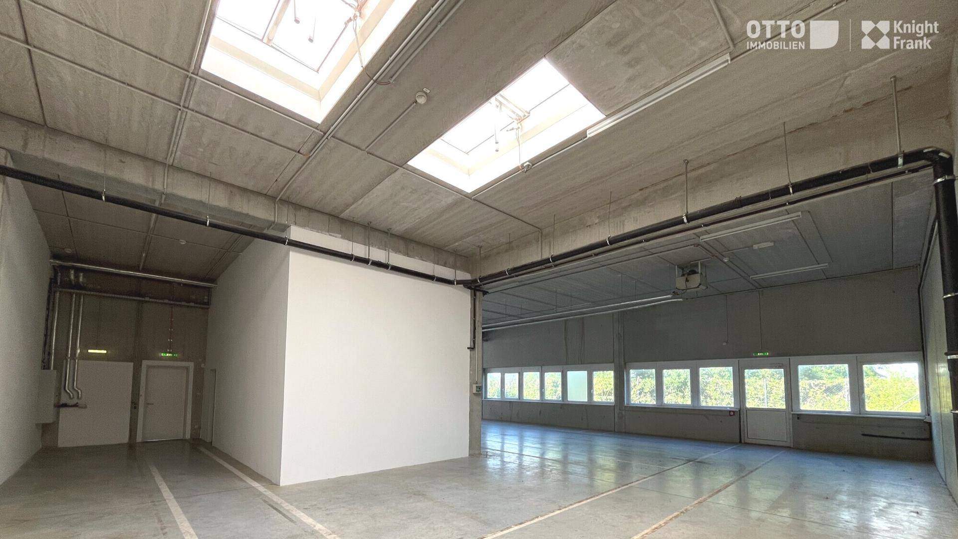 Große Lagerhalle mit Betonboden, Oberlichtern und einer Fensterreihe, die viel Tageslicht spendet.