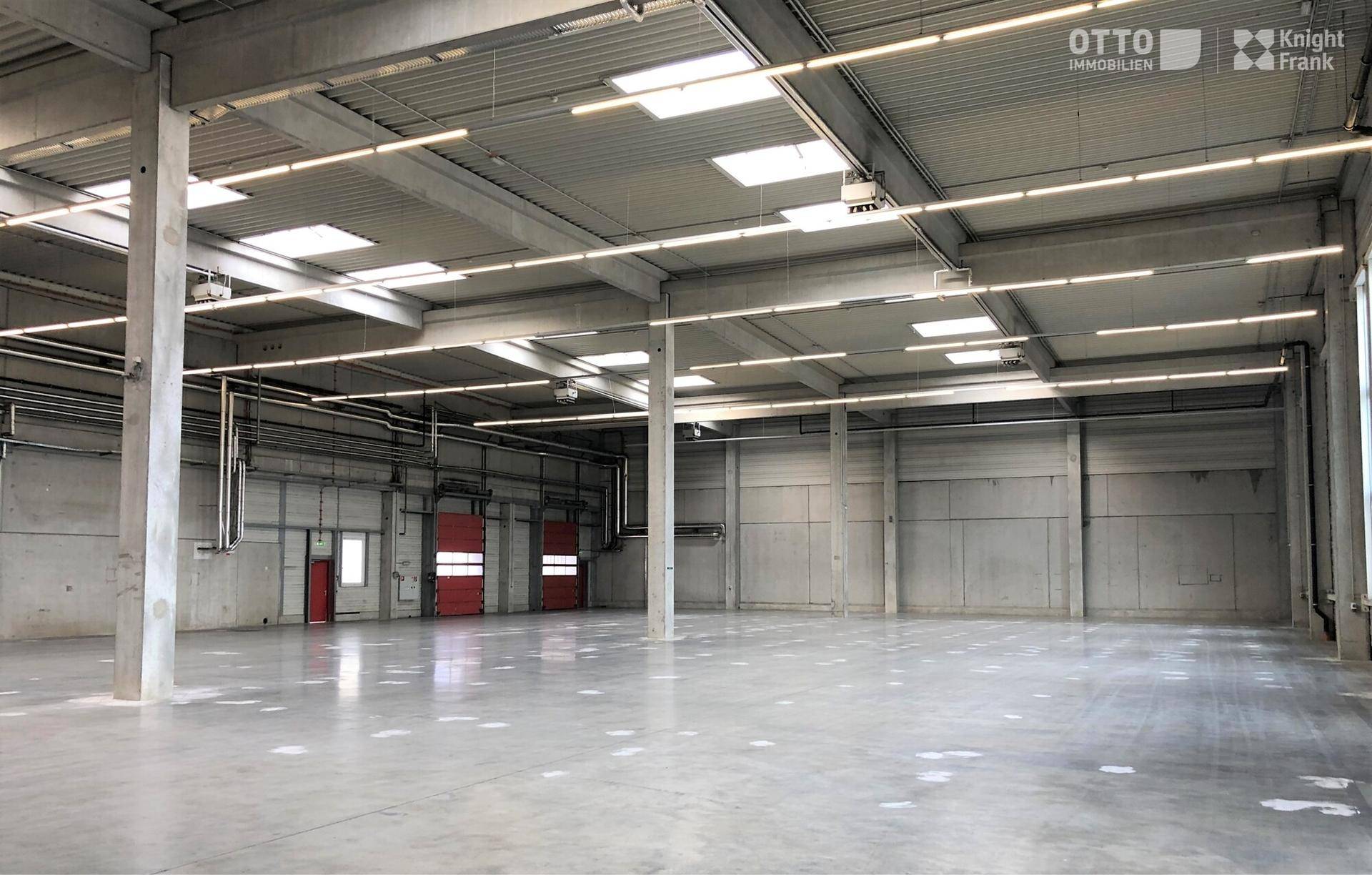 Geräumige Lagerhalle mit Betonwänden, Oberlichtern und Säulenstruktur.