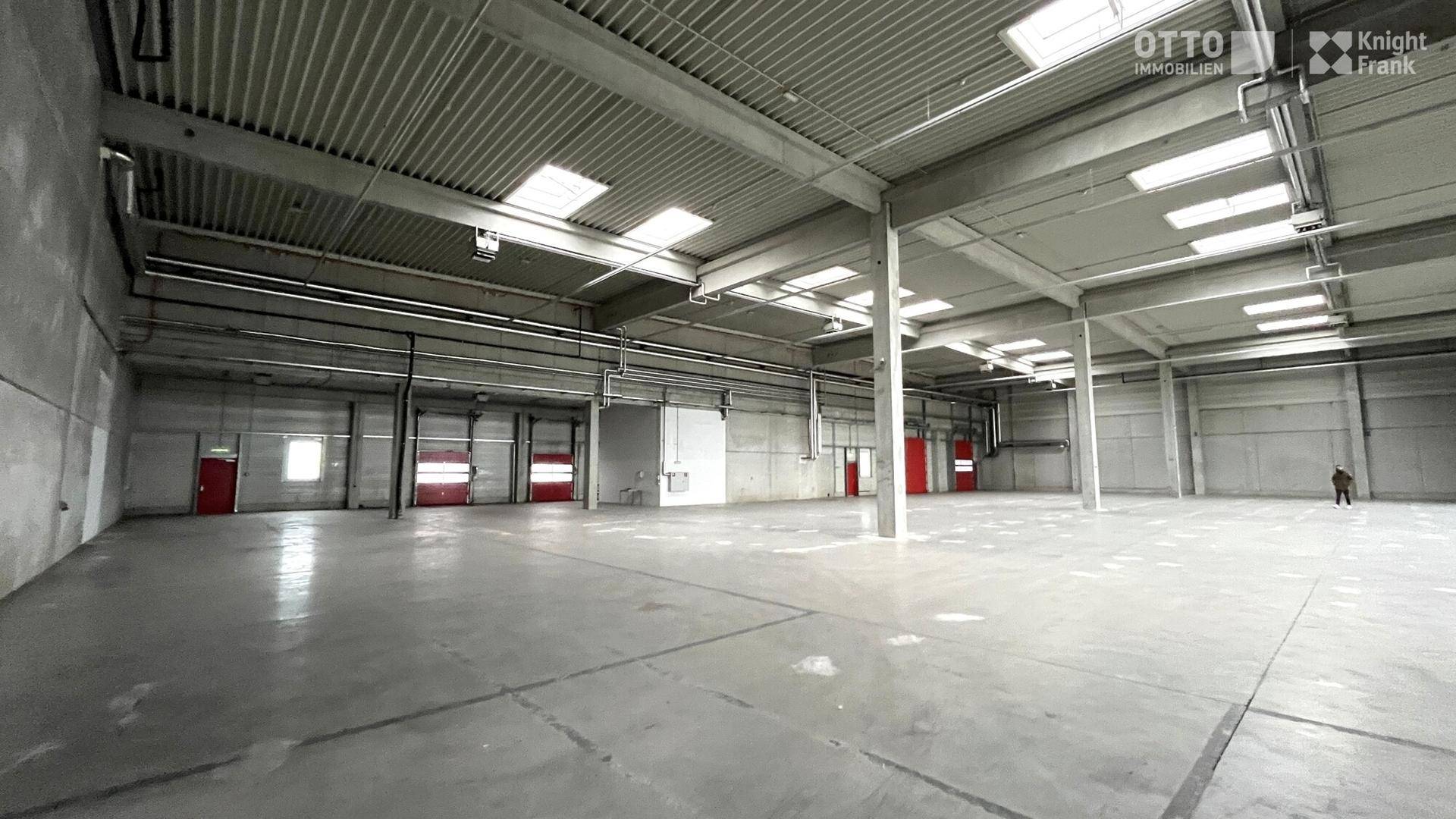Geräumige Lagerhalle mit hohen Decken, Oberlichtern und mehreren Rolltoren.
