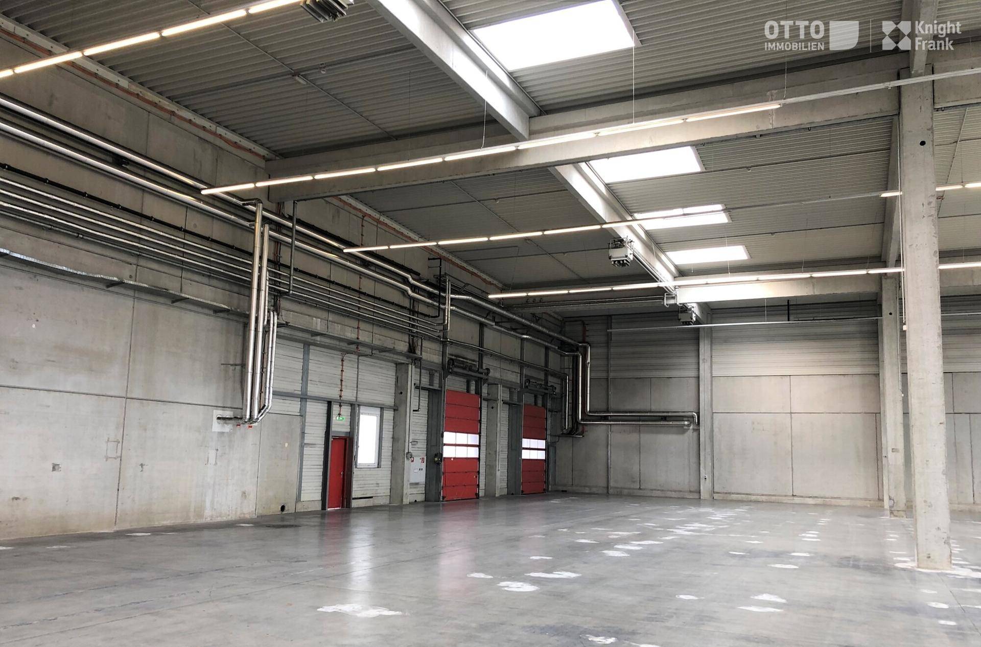 Leere Lagerhalle mit sichtbaren Rohren, Rolltoren und Oberlichtern.