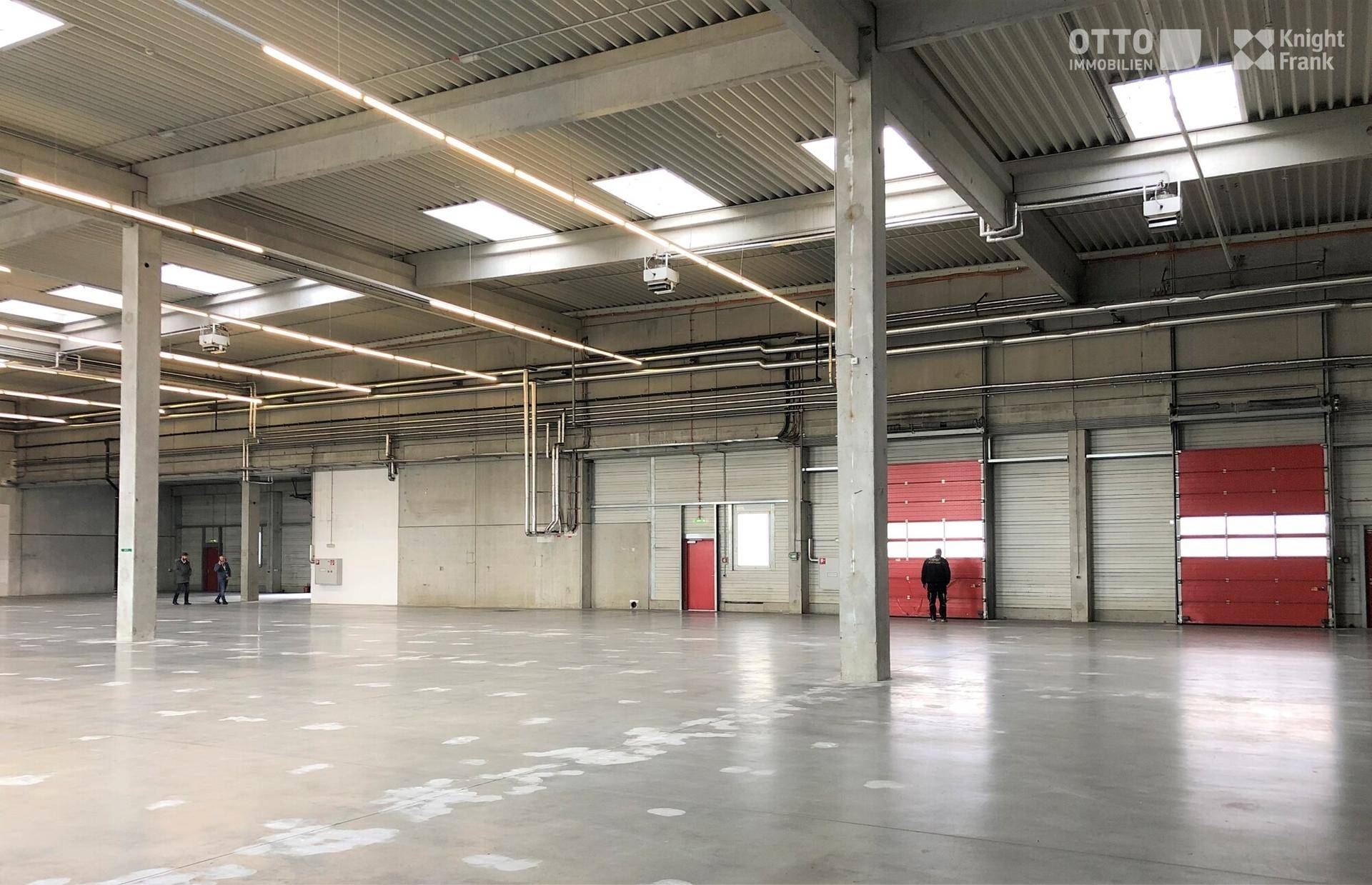 Weitläufige Lagerhalle mit Betonboden, Oberlichtern und LED-Beleuchtung.
