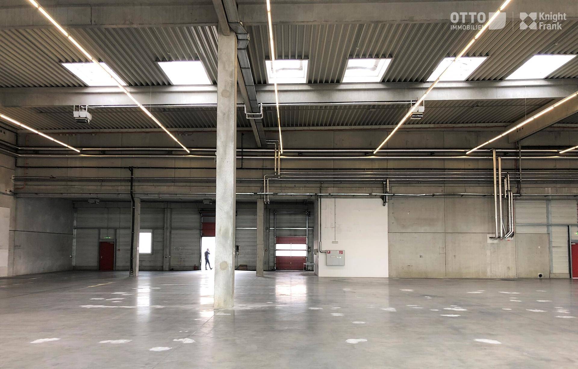 Weitläufige Lagerhalle mit Betonboden, hohen Decken und industrieller Beleuchtung.