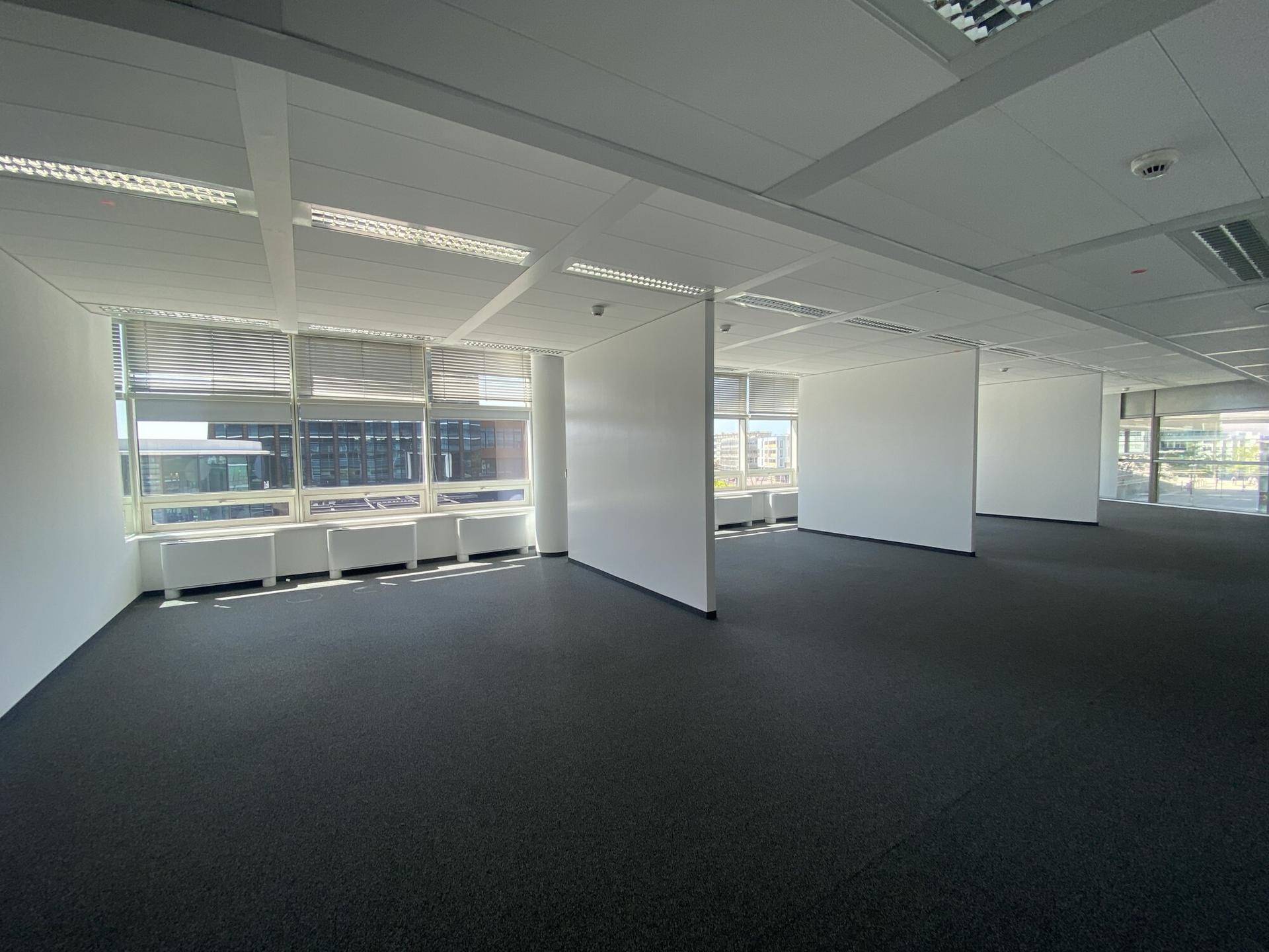 Geräumiger, leerer Büroraum mit Teppichboden, großen Fenstern und flexiblen Trennwänden.