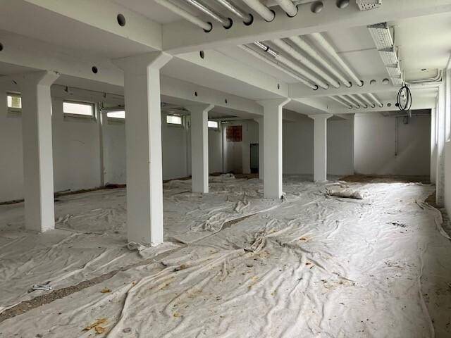Geräumiger Kellerbereich mit freiliegenden Rohren an der Decke und kleinen Fenstern.