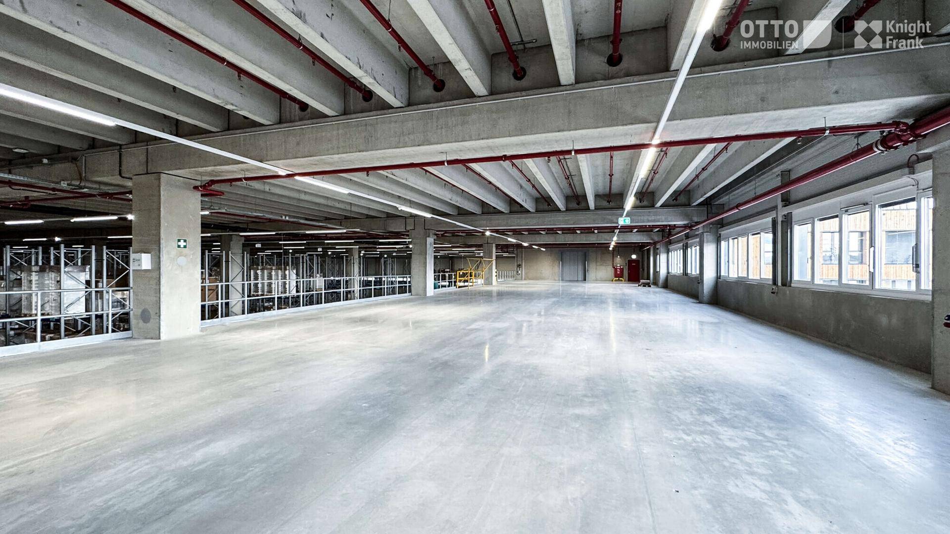 Helle und offene Lagerfläche mit großen Fenstern, Betonstruktur und roten Rohrleitungen an der Decke.