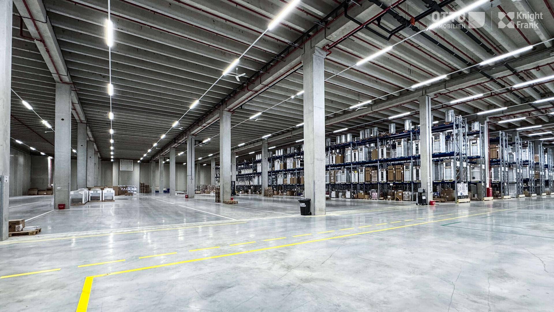 Weitläufige Lagerhalle mit Betonpfeilern, Regalen und heller Beleuchtung durch Leuchtstoffröhren.