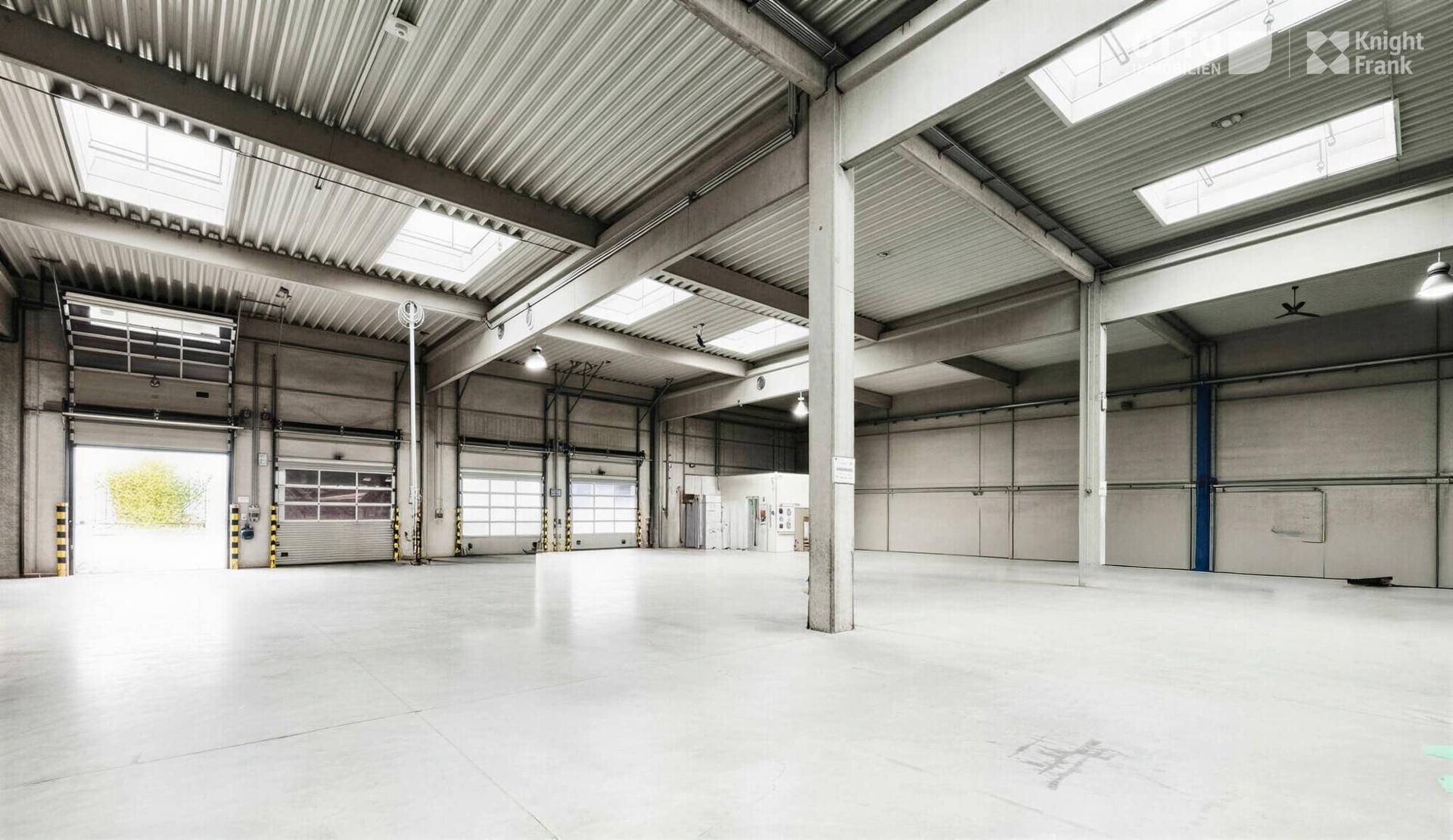 Helle Lagerhalle mit mehreren Rolltoren, Betonboden und Oberlichtern für Tageslicht.