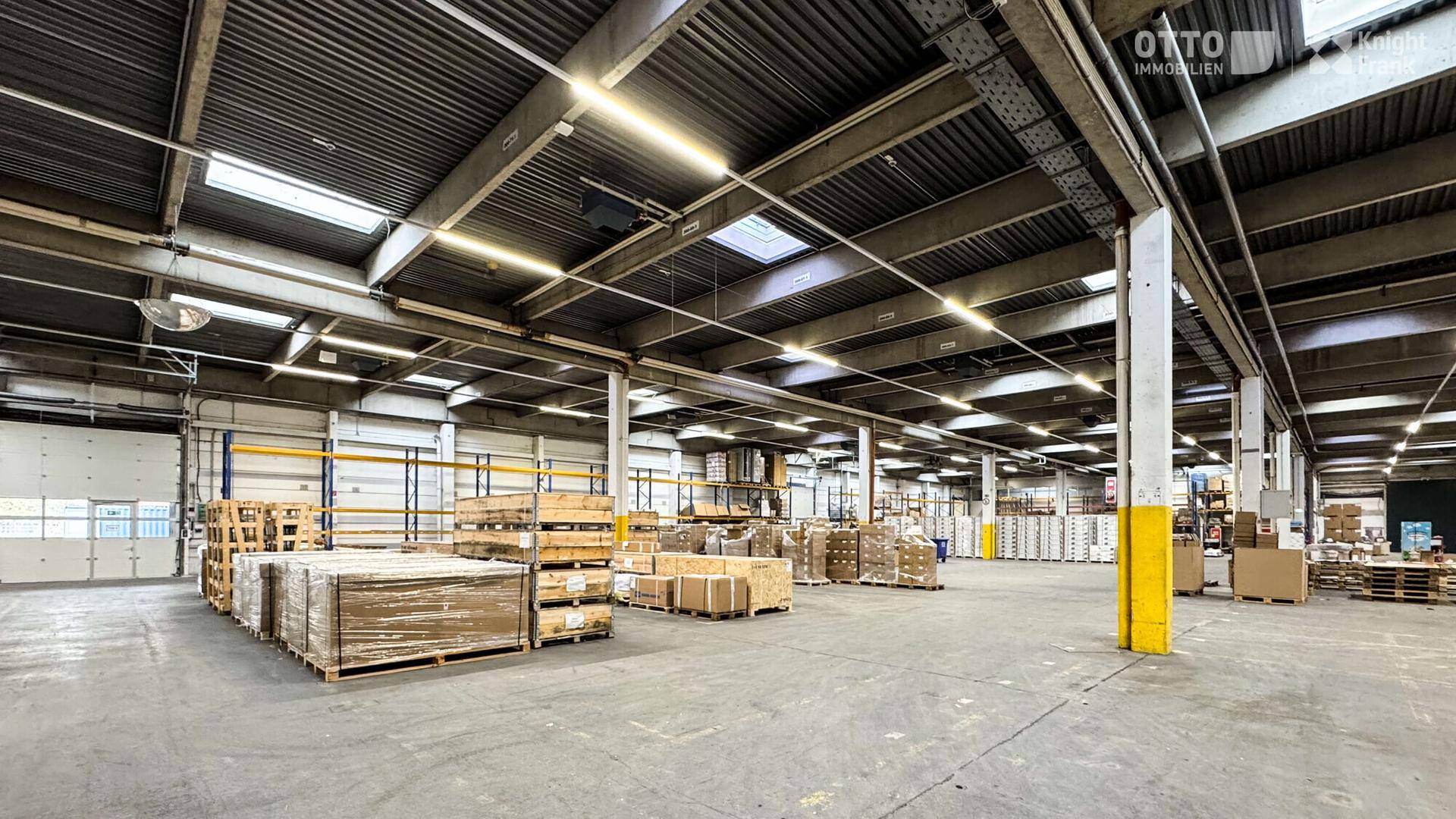 Geräumige Lagerhalle mit hohen Decken, Betonboden und gestapelten Waren auf Paletten.