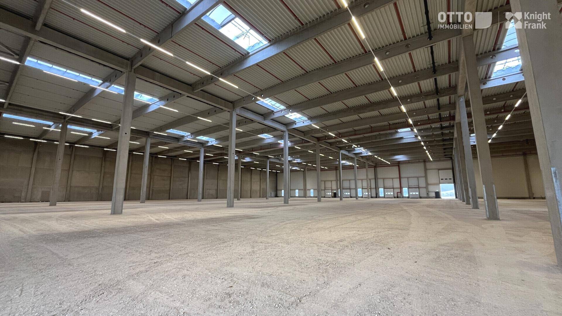 Geräumige, leere Lagerhalle mit hoher Decke, vielen Stützpfeilern und Oberlichtern für Tageslicht.