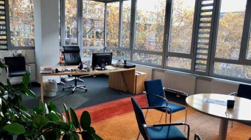 Einzelbüro mit großen Fenstern, Holztisch, blauen Stühlen und Blick auf Bäume.