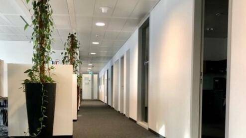 Heller Büroflur mit Teppichboden, Einbaustrahlern und Pflanzen als Dekoration.