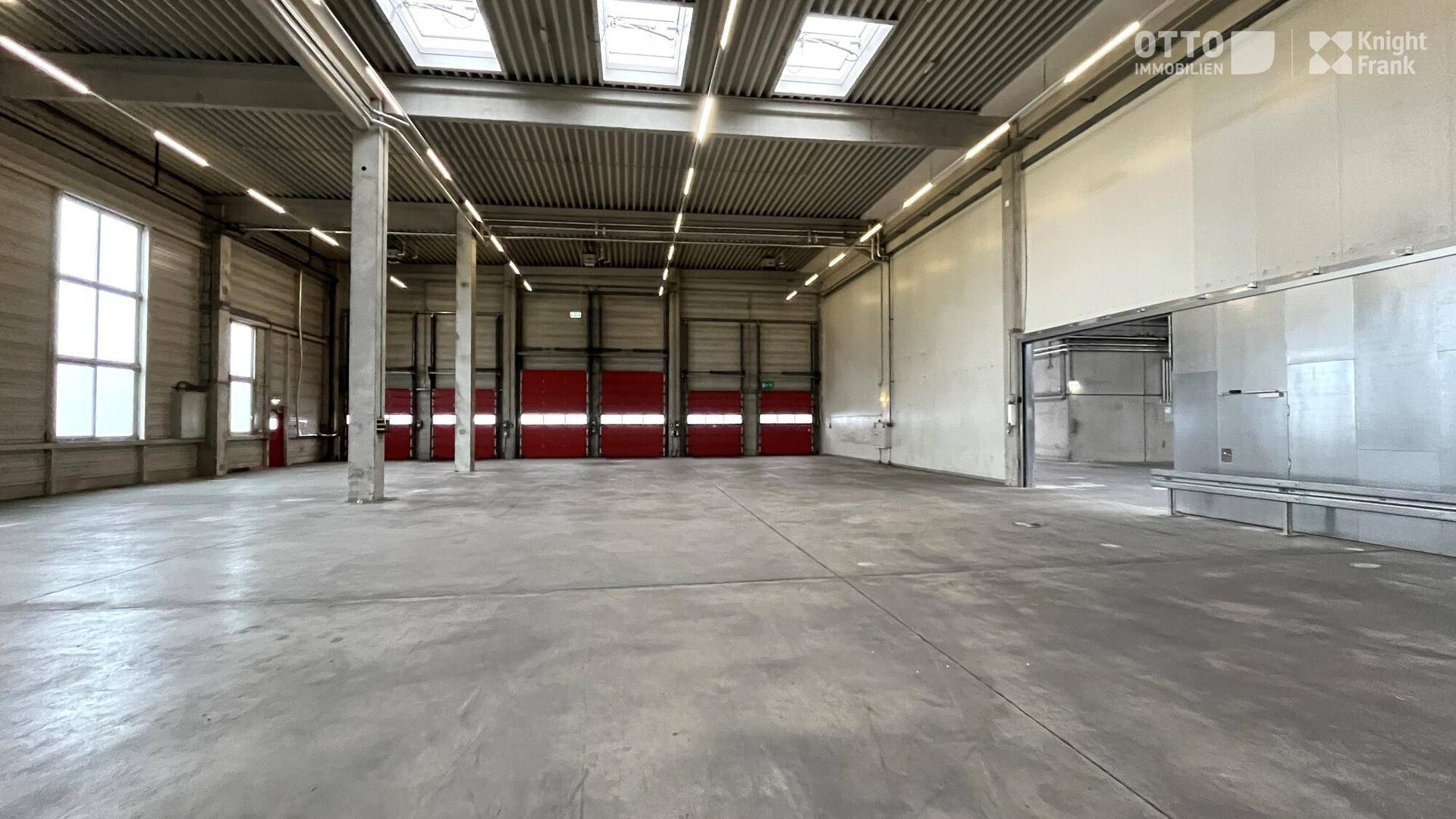 Geräumige Lagerhalle mit Betonboden, Oberlichtern und einer Reihe von roten Rolltoren.