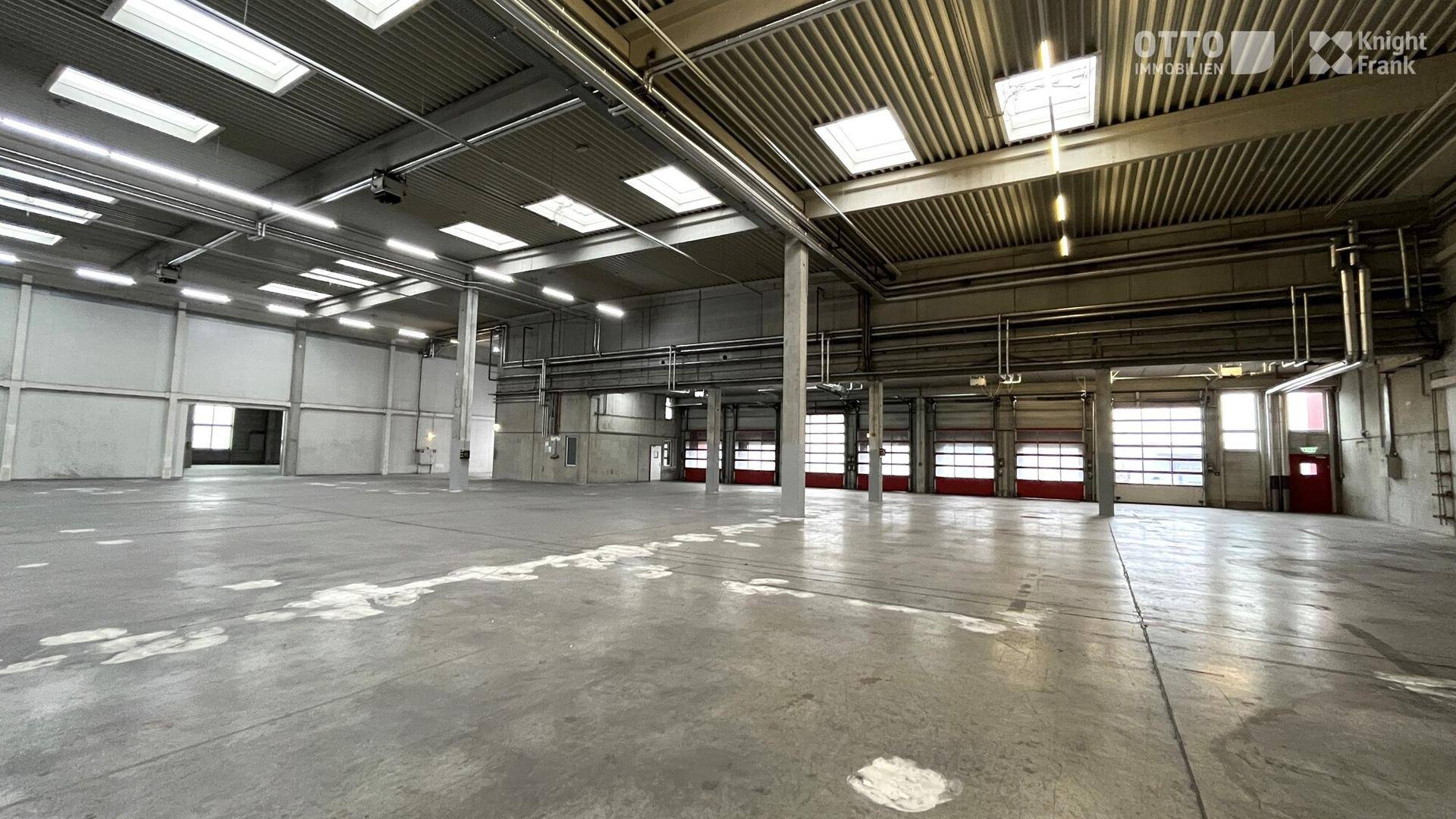 Geräumige Lagerhalle mit Betonboden, hohen Decken und mehreren Rolltoren für den Zugang.