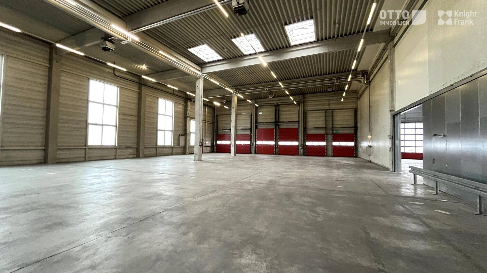 Helle Lagerhalle mit Betonboden, hohen Decken und großen Fenstern sowie Rolltoren.