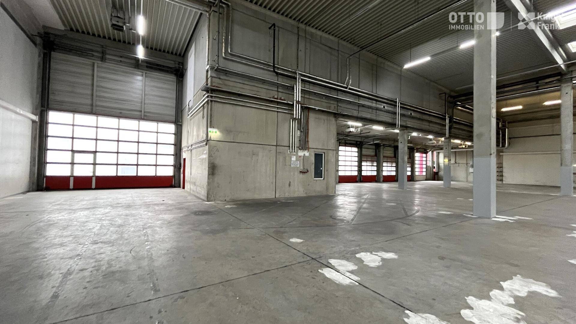 Weitläufige Lagerhalle mit Betonboden, hohen Decken und einem großen Rolltor im Vordergrund.
